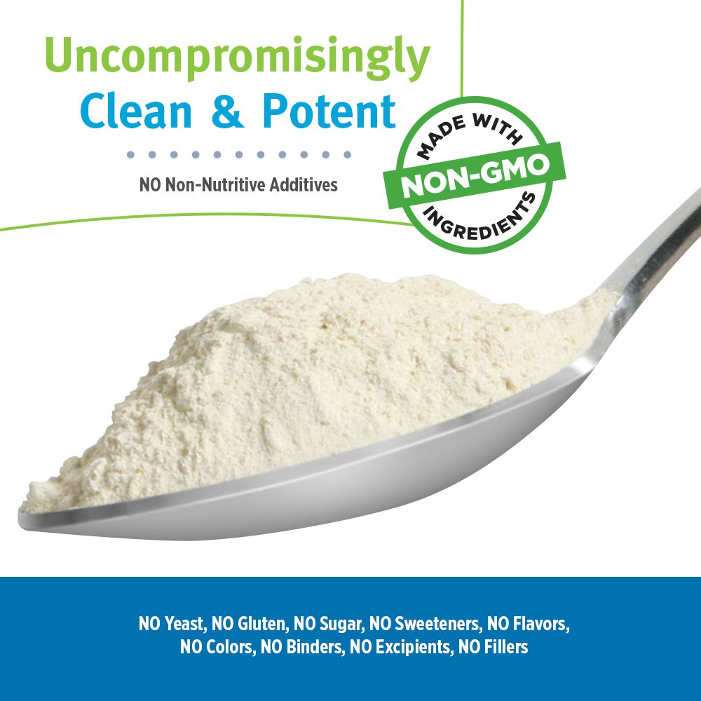 ALL ONE Multivitamin Powder – Original Formula, Once Daily, 8g Protein, 66 Servings