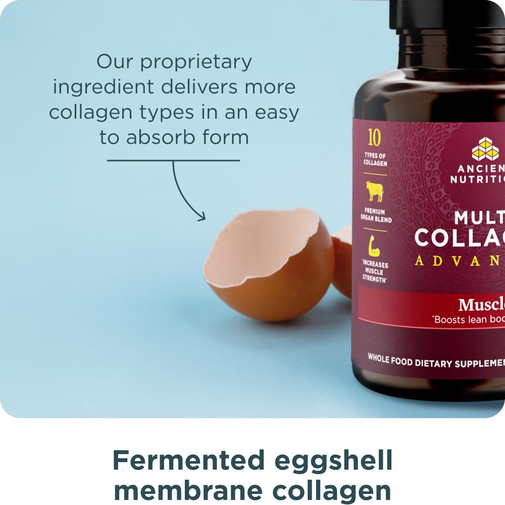 Ancient Nutrition Advanced Multi Collagen Protein Capsules – Muscle Support, 90 Count