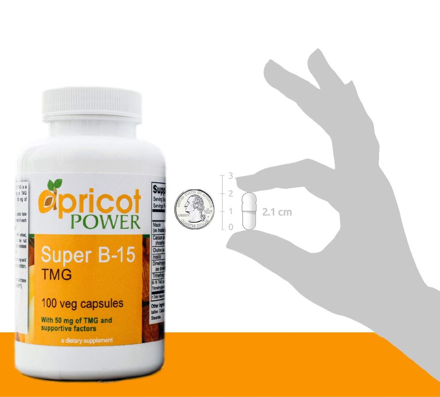 Apricot Power Super B-15 Pangamic Acid – Non-Toxic B-15, 100 Veg Caps