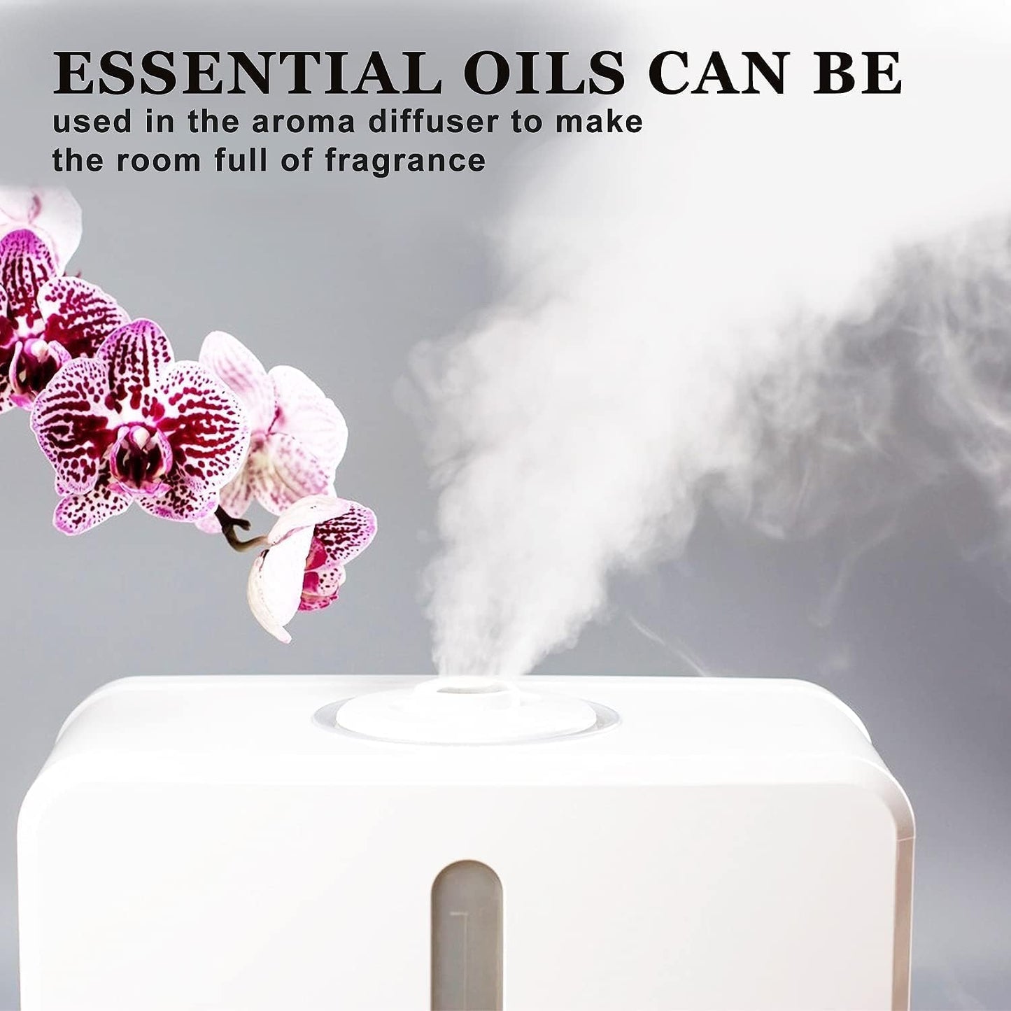 Basil Essential Oil 2 Pack (10ml x2) - Diffuser, DIY & Gift | MUMAZYL