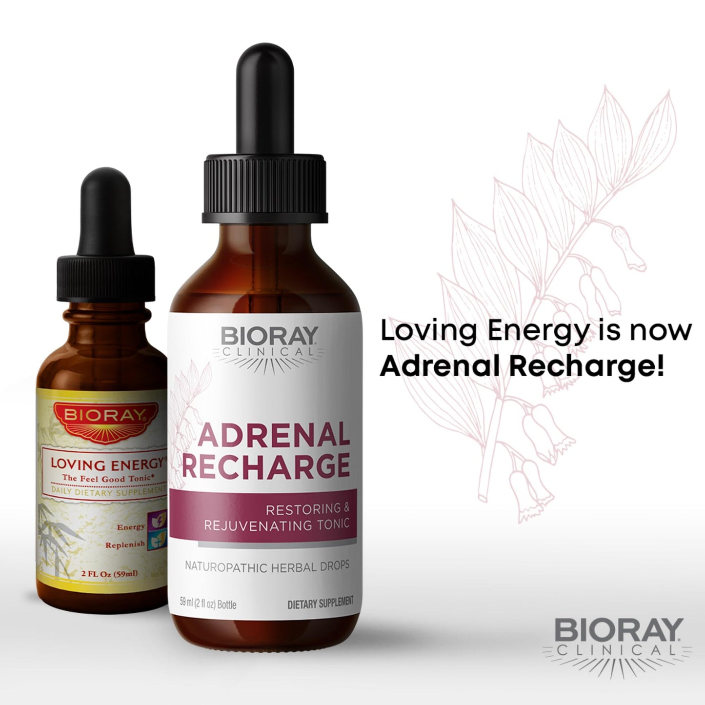 BIORAY Clinical Adrenal Recharge - 2 fl oz - Restoring & Rejuvenating Alcohol Tincture