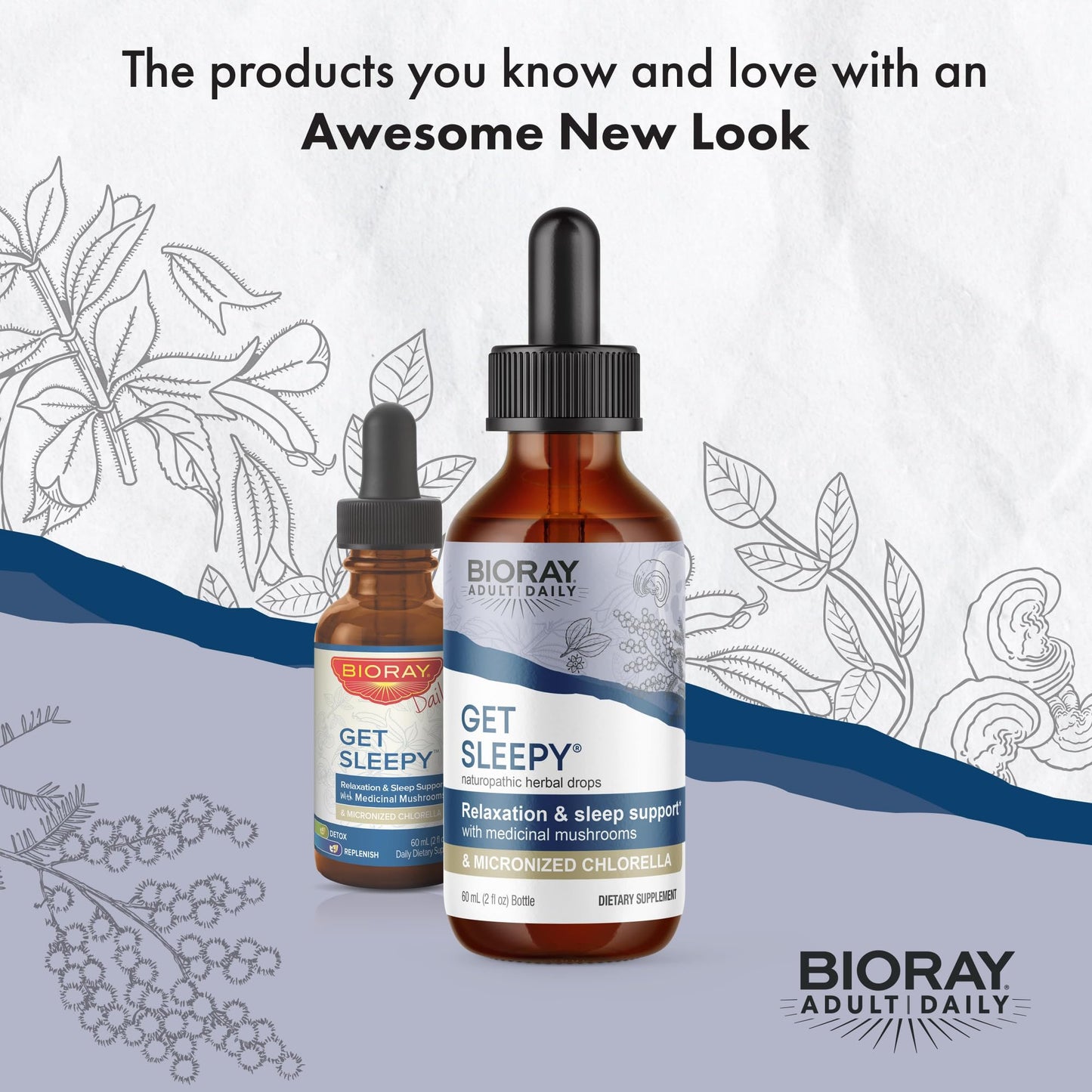 BIORAY Daily Get Sleepy – Sleep Support Liquid with Medicinal Mushrooms & Micronized Chlorella