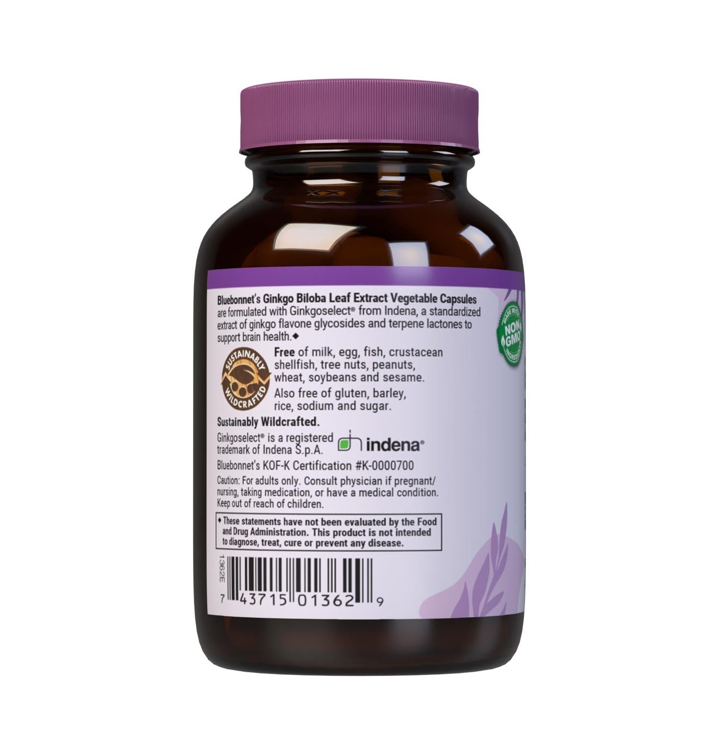BlueBonnet Ginkgo Biloba Leaf Extract Supplement – 60 Count | 24% Flavonglycosides, 6% Terpene Lactones | Vegan