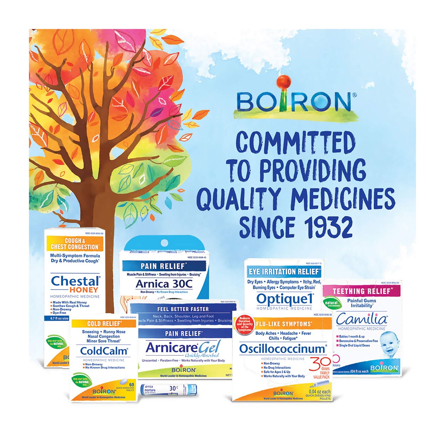 Boiron Rhus Toxicodendron 200CK - Joint Pain Homeopathic Medicine (Pack of 3, 240 Pellets)