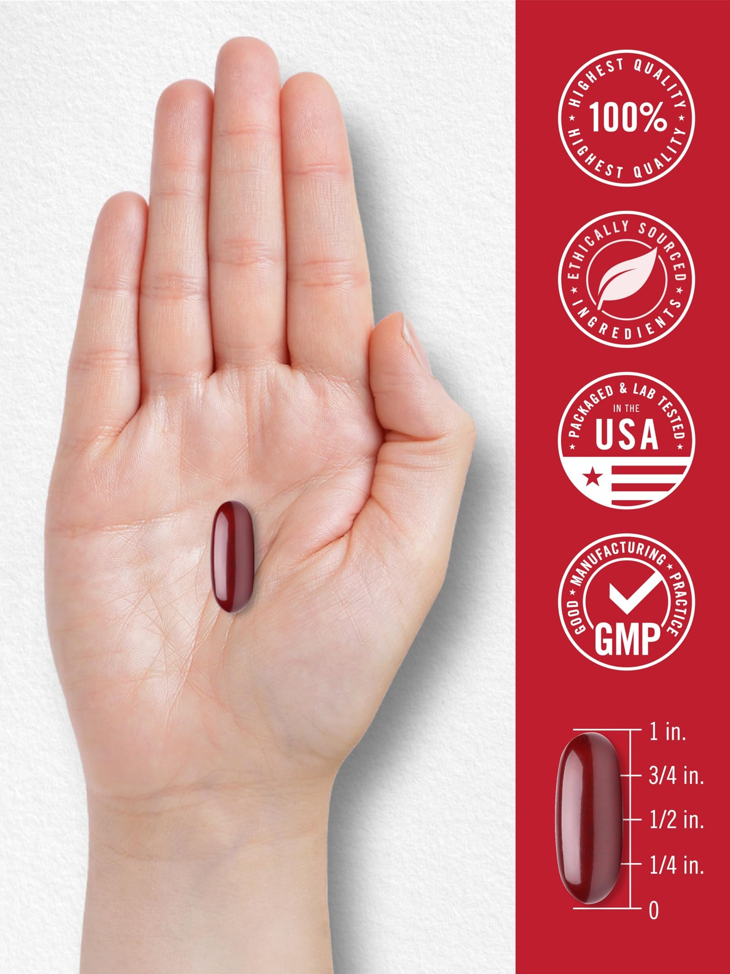 Carlyle Antarctic Krill Oil 2000 mg – 120 Softgels (Pack of 2) | Omega-3 EPA/DHA + Astaxanthin