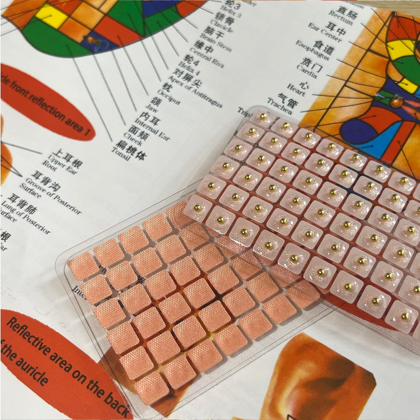 Ear Seeds Acupuncture Kit - 300 Pieces with Chart & Tweezers | Balance & Wellness