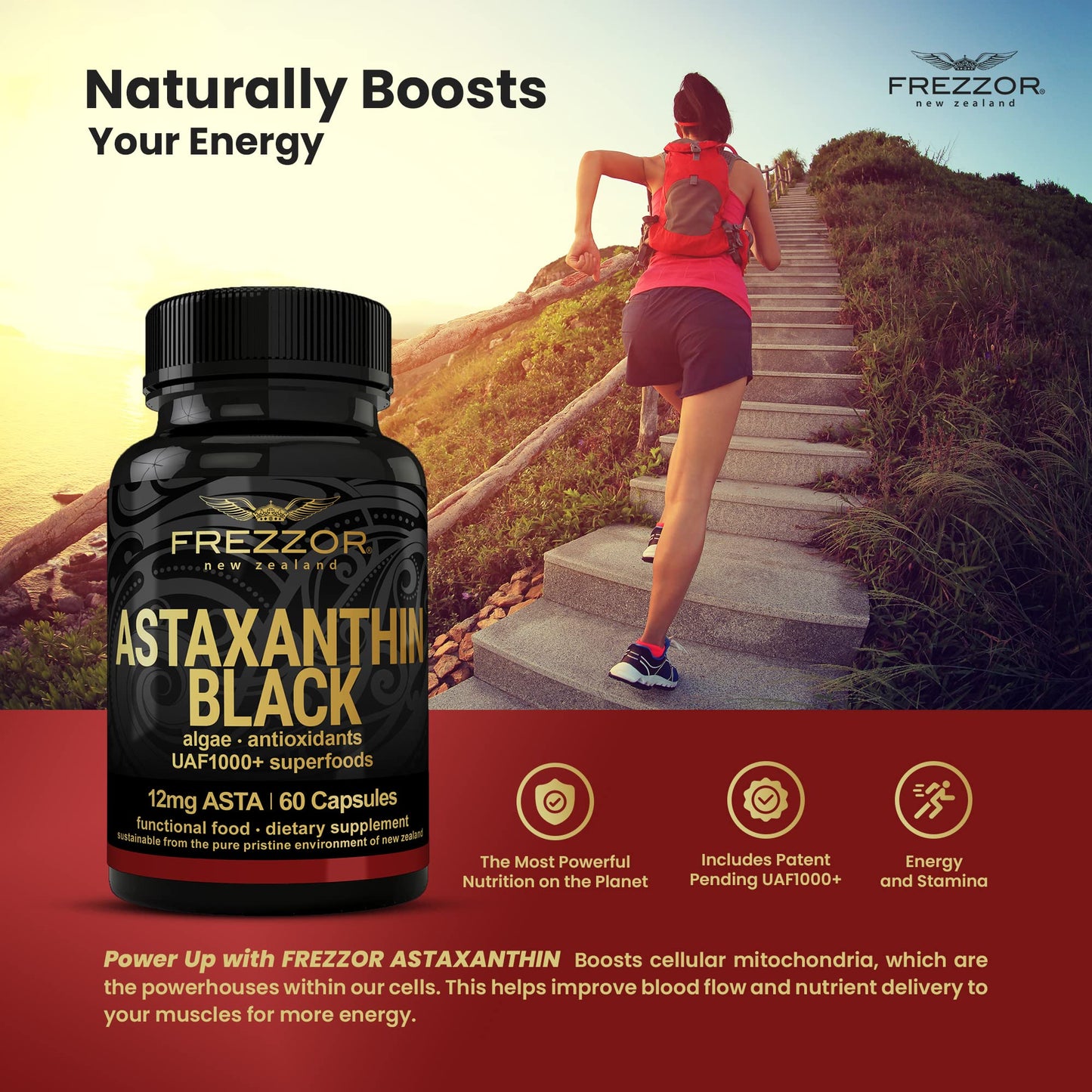 FREZZOR Astaxanthin Black 12mg – Anti-Aging Antioxidant (60 Softgels)