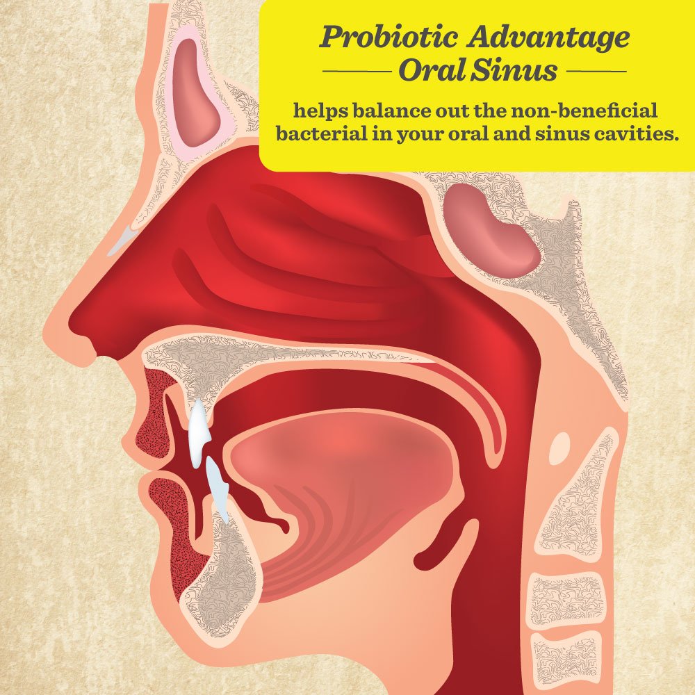 Healthy Directions Probiotic Advantage – Oral Sinus Probiotics for Mouth, Teeth & Gums (Sugar-Free Cinnamon, 50 Lozenges)