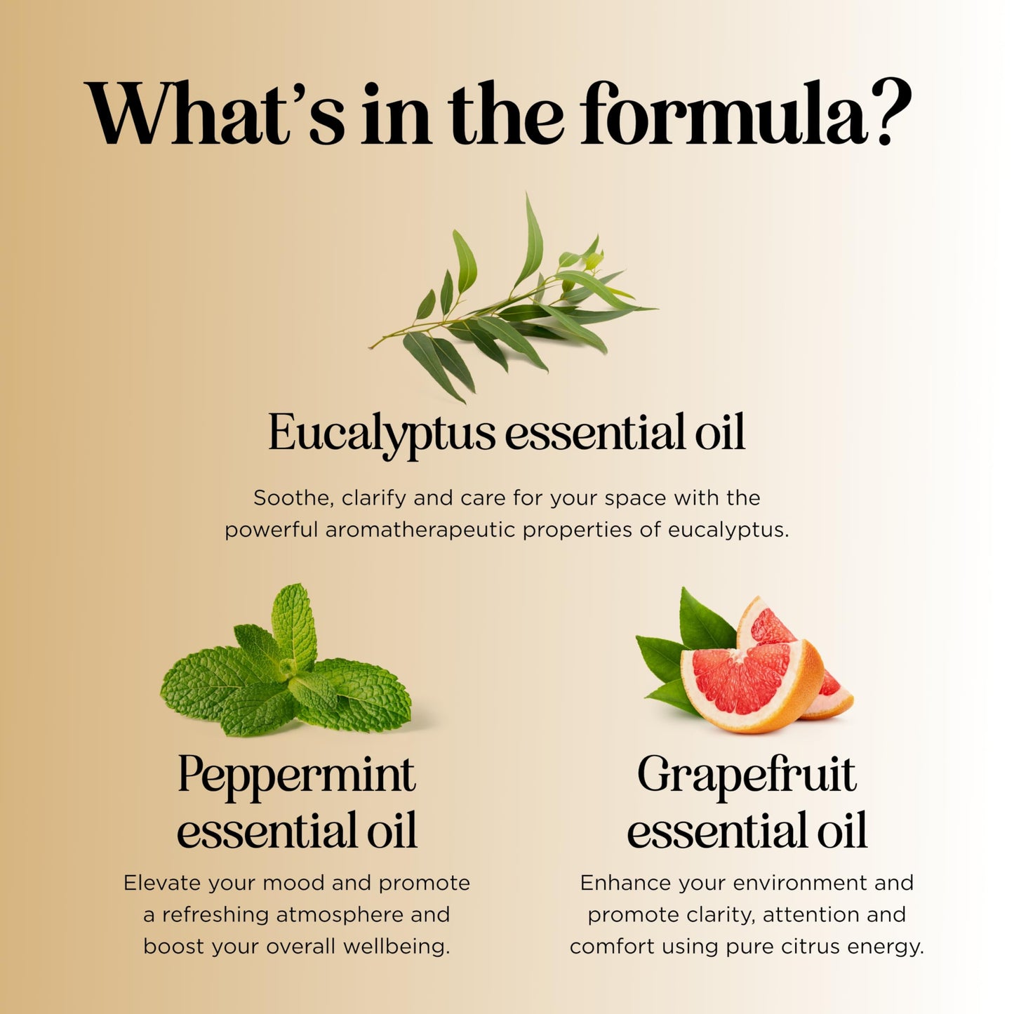 Focus Essential Oil Blend for Diffusers – Energizing Aromatherapy (Grapefruit, Bergamot, Peppermint & Eucalyptus) 2 oz