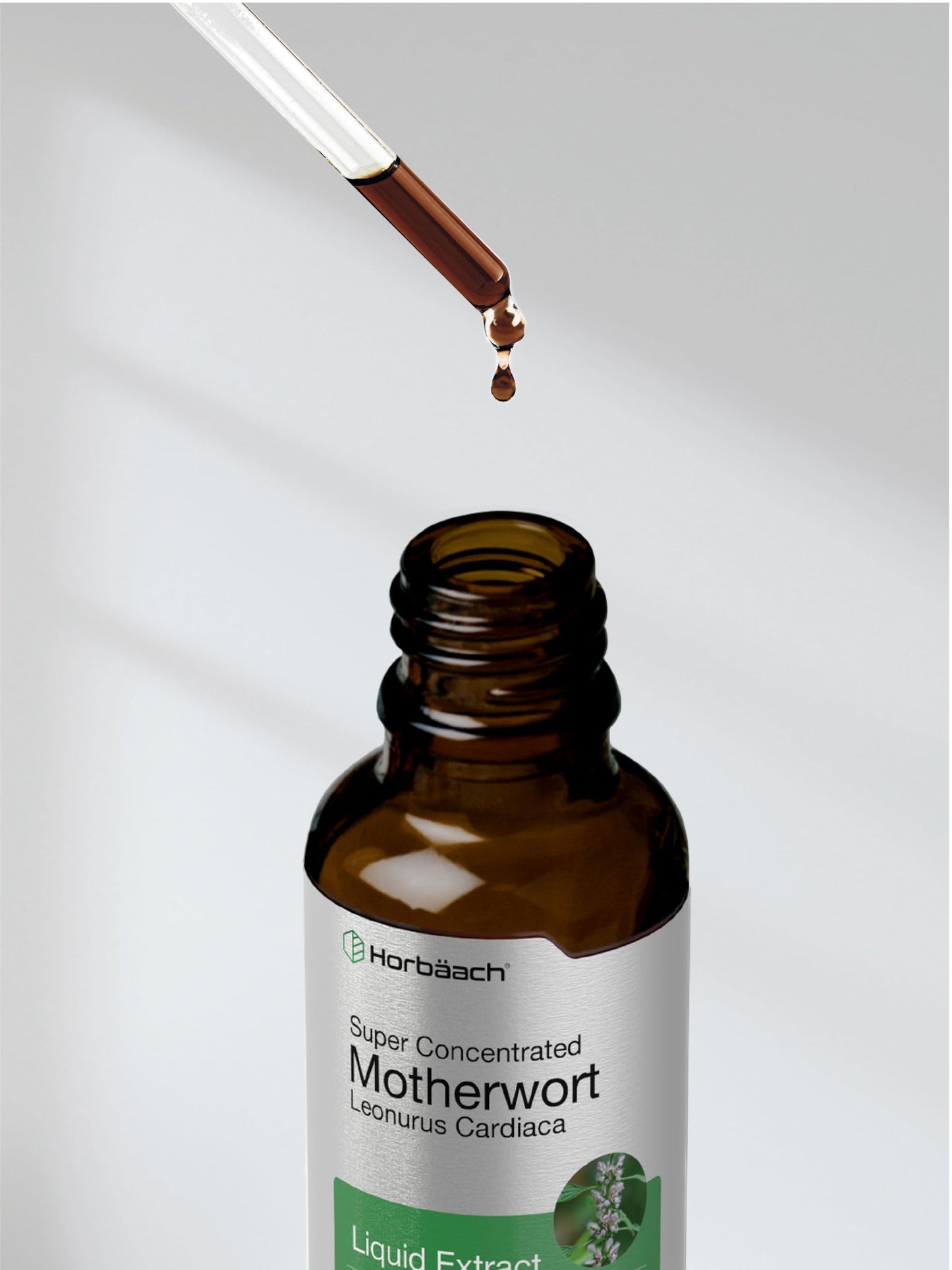 Horbaach Motherwort Tincture Herbal Extract - 2 fl oz - Alcohol Free - Non-GMO & Gluten Free