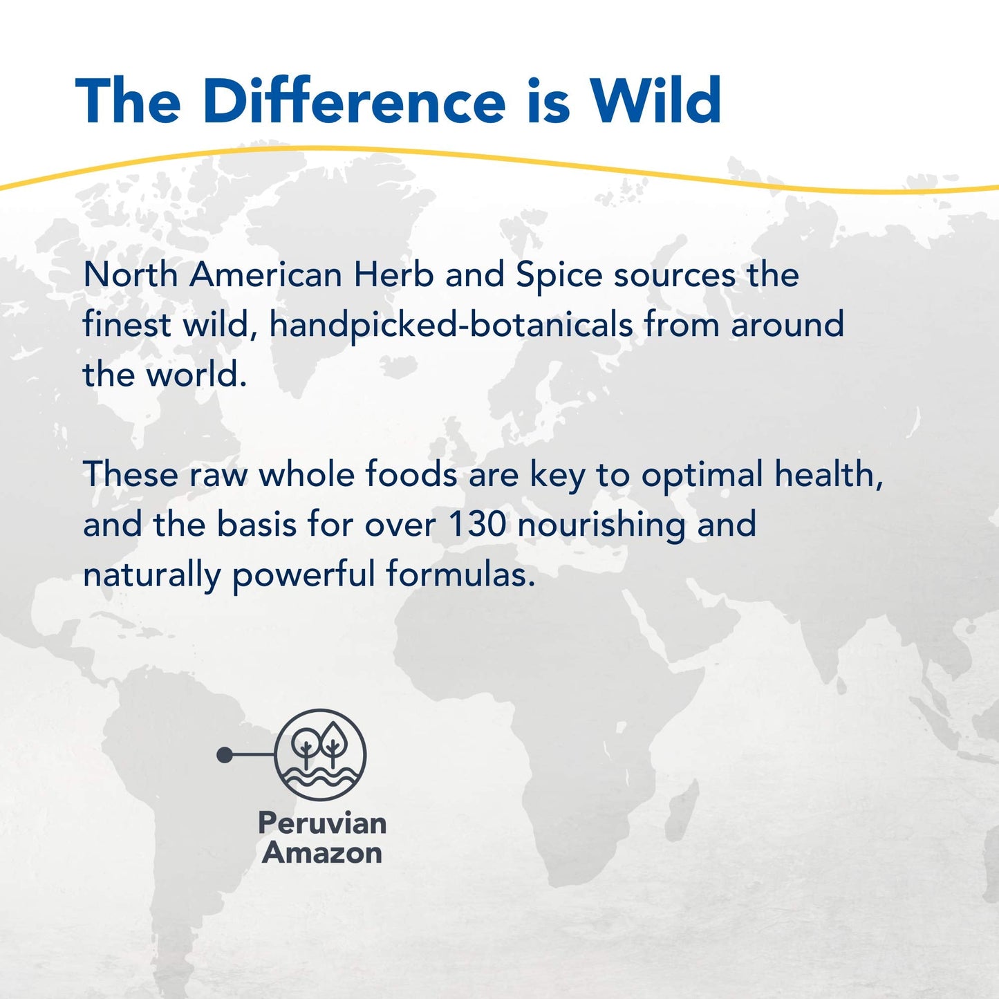 Inflam-EEZ by North American Herb & Spice - 90 VegiCaps | Immune & Inflammation Support