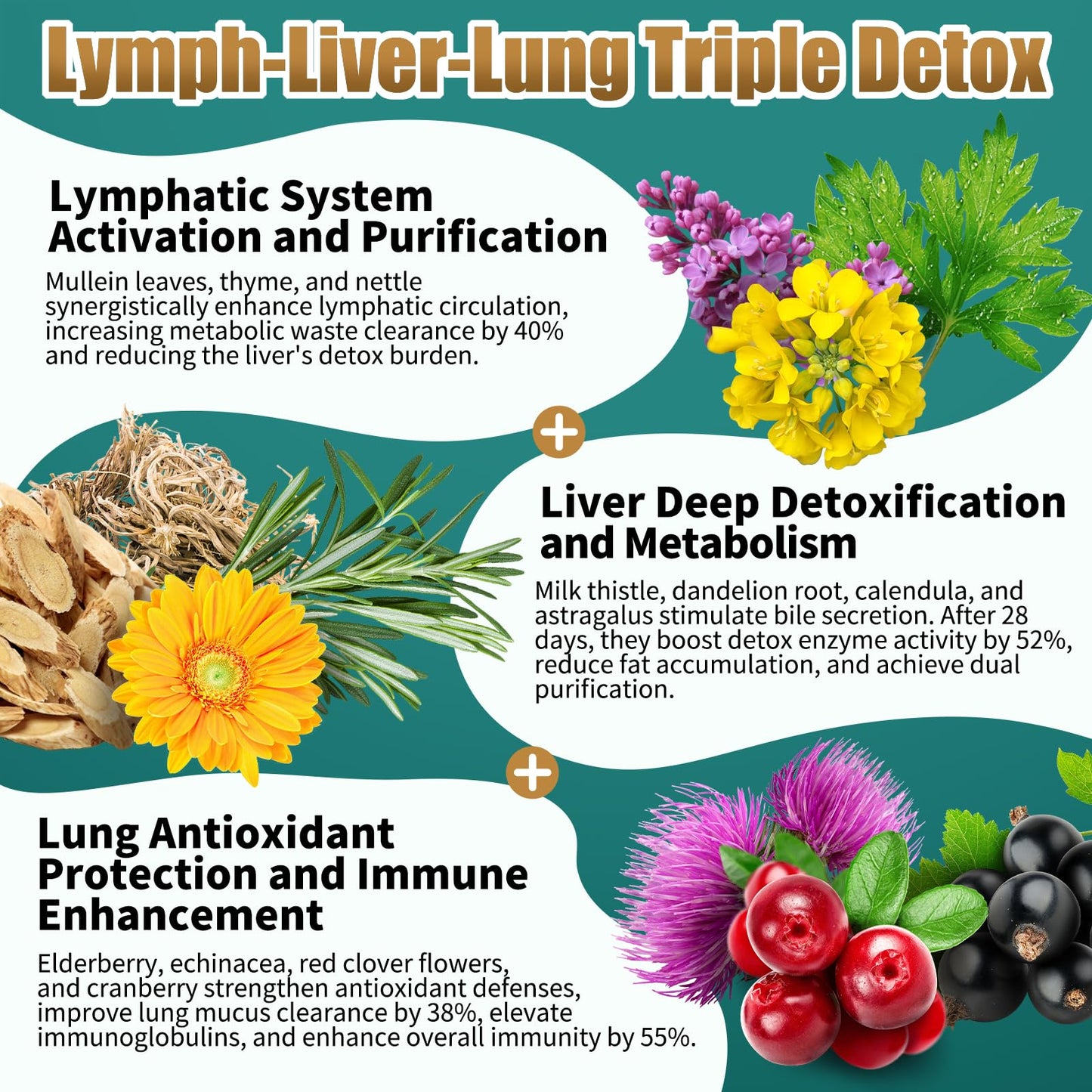 Liposomal Lymph-Liver-Lung Cleanse Drops 2500mg – Immune Support (2 oz)