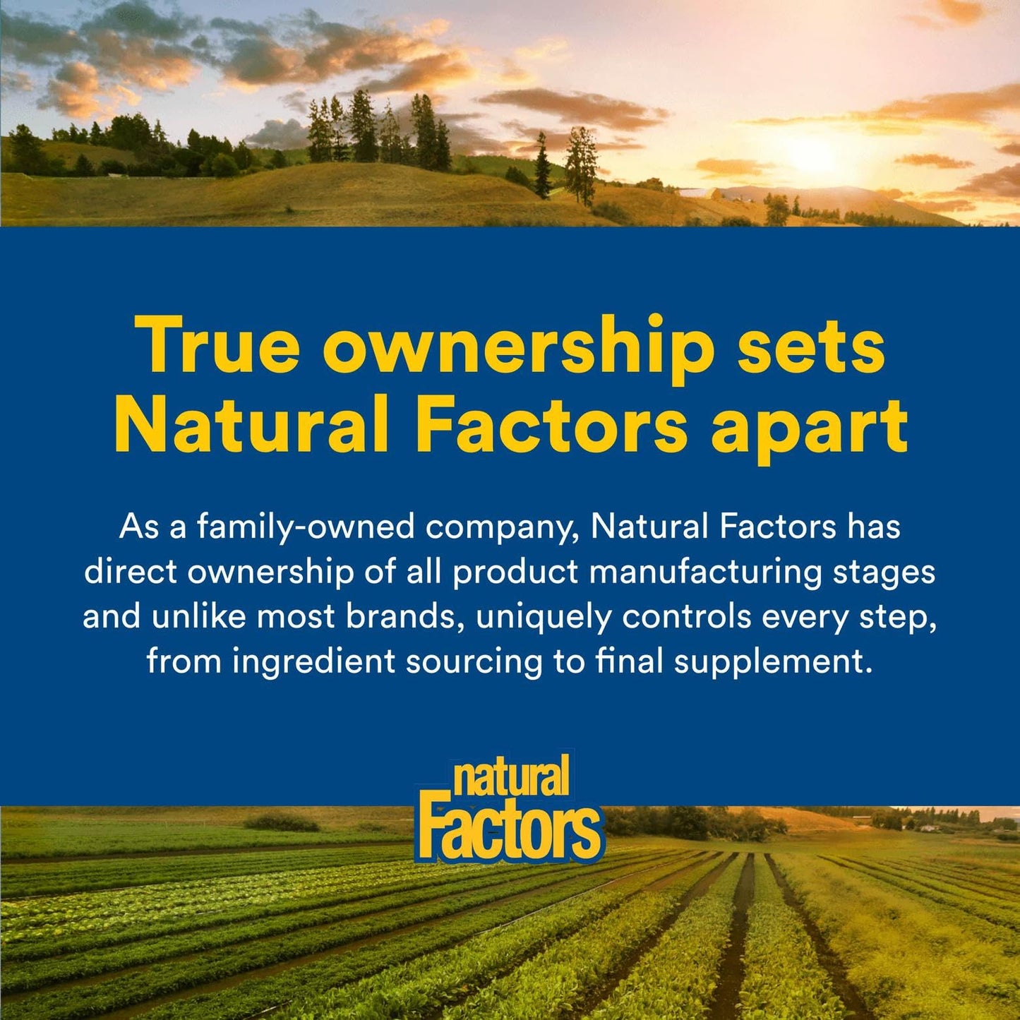 Natural Factors Liver Health Formula – Liver Support with Licorice, Turmeric & Schisandra (60 capsules)