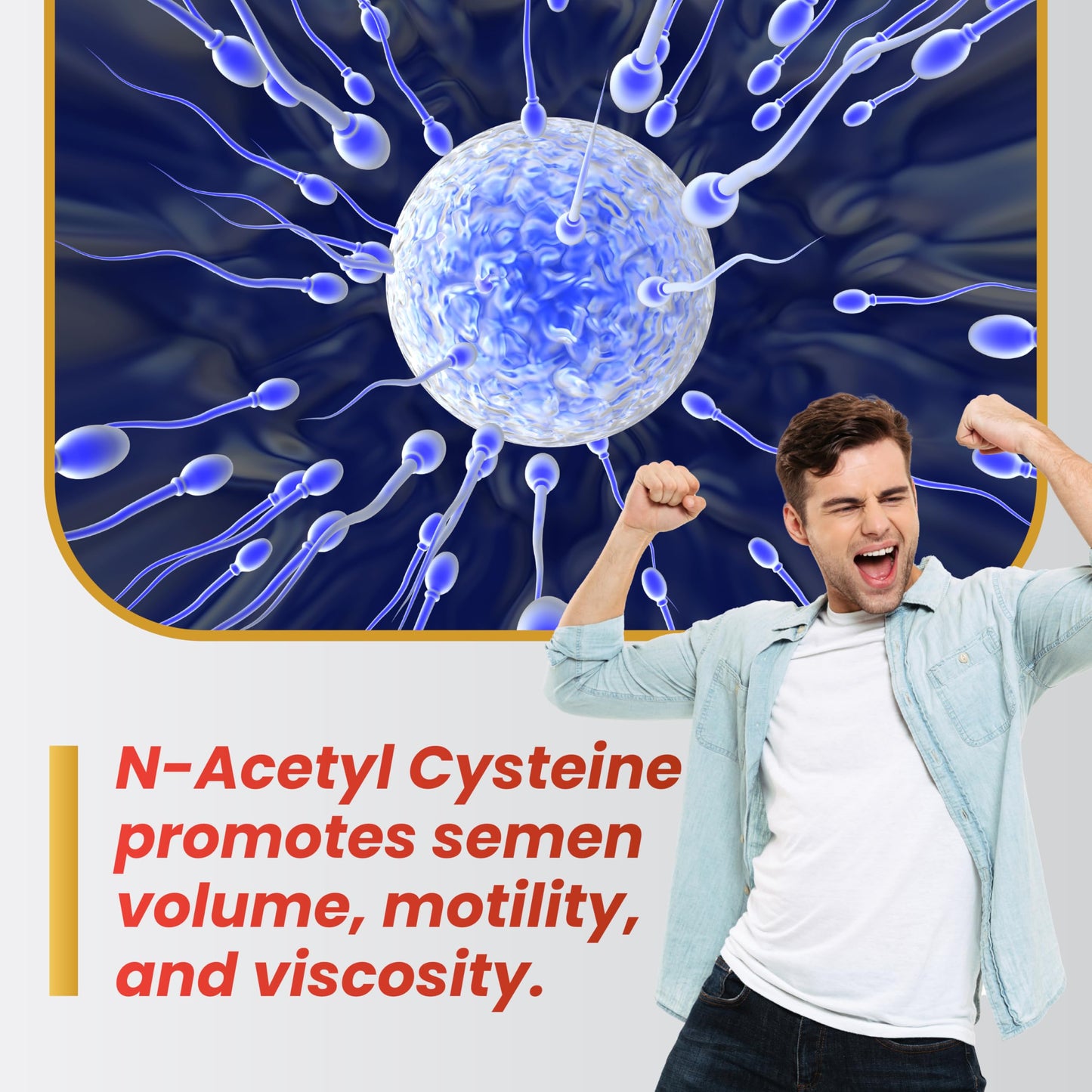 Motility Max – Sperm Motility & Reproductive Health Support | Circulation, Libido & Testosterone | 60 Capsules