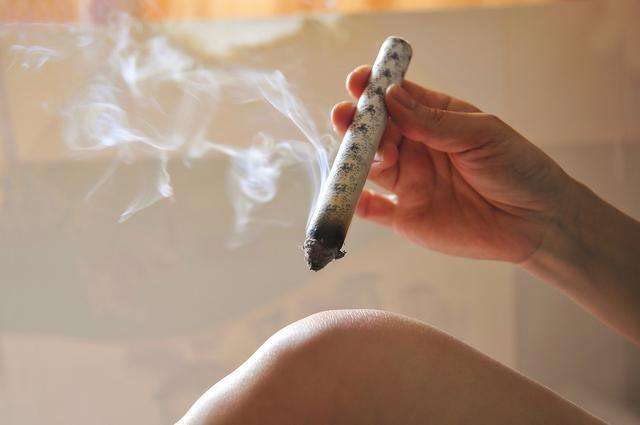 Moxa Sticks Natural Mugwort Rolls – Handmade Pure Wormwood, 3-Year Purity for Moxibustion (10 per Box)
