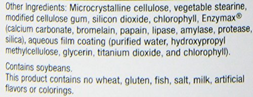 Multivitamin for Men & Women – High Potency Daily Multi with CoQ10
