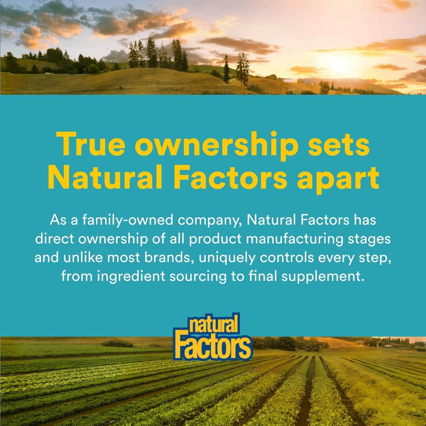 Natural Factors Glutathione LipoMicel Matrix 300 mg – 90 Softgels