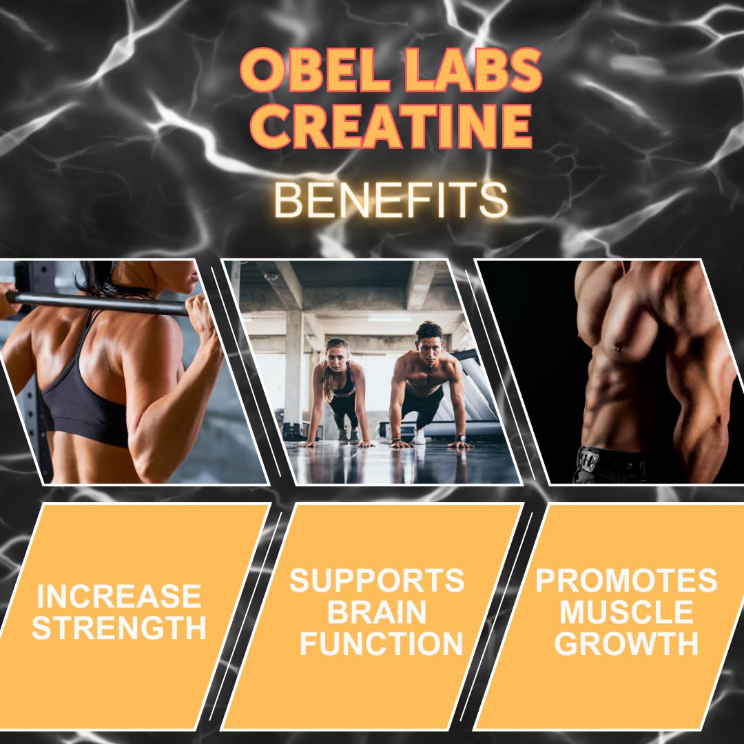 Obel Creatine Monohydrate (Micronized) 500g | 17.6 oz