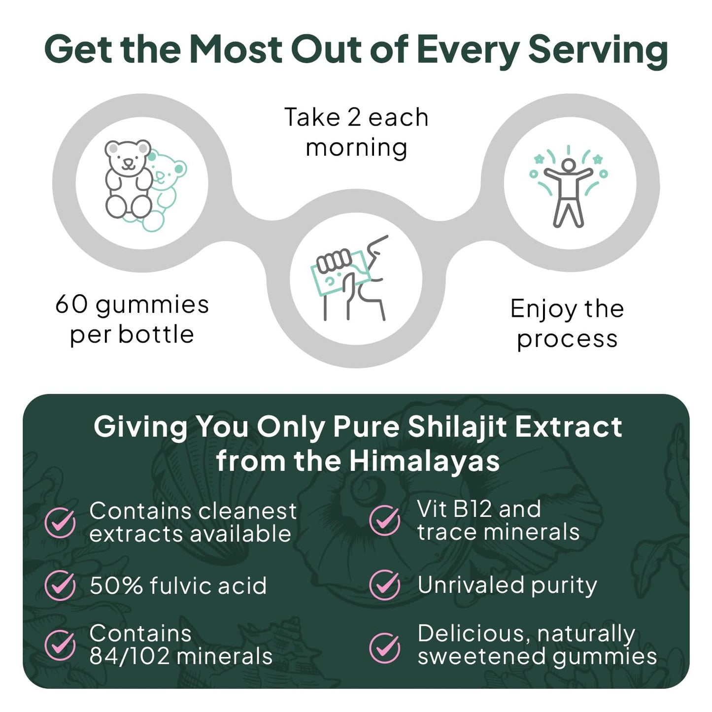 Organics Ocean Shilajit Gummies – Energy, Hormone Support & Skin Health (60 Gummies)