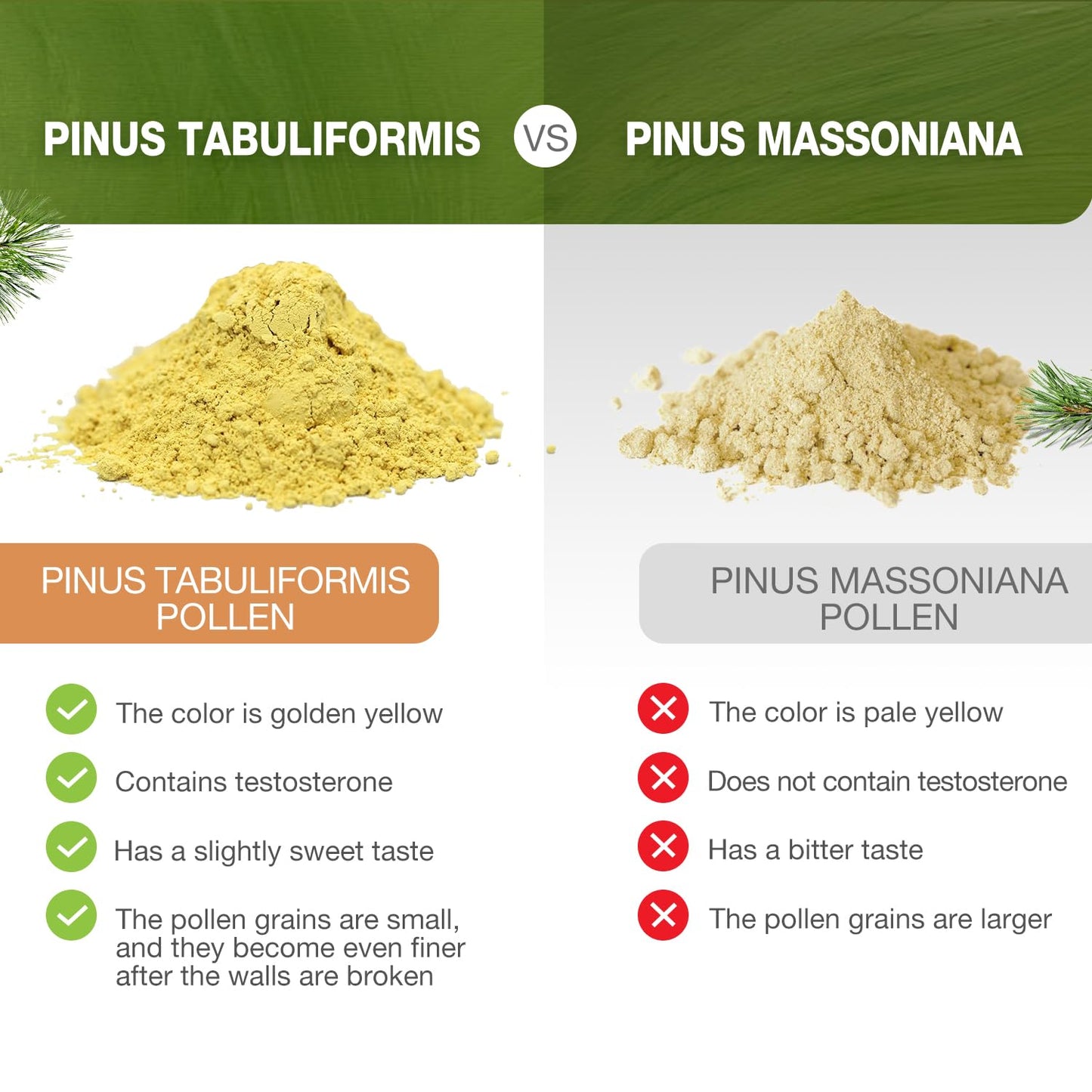 ECO-TASTE Pine Pollen Powder 6 oz | Wild Harvested Pinus Tabuliformis, 99% Cracked Cell Wall