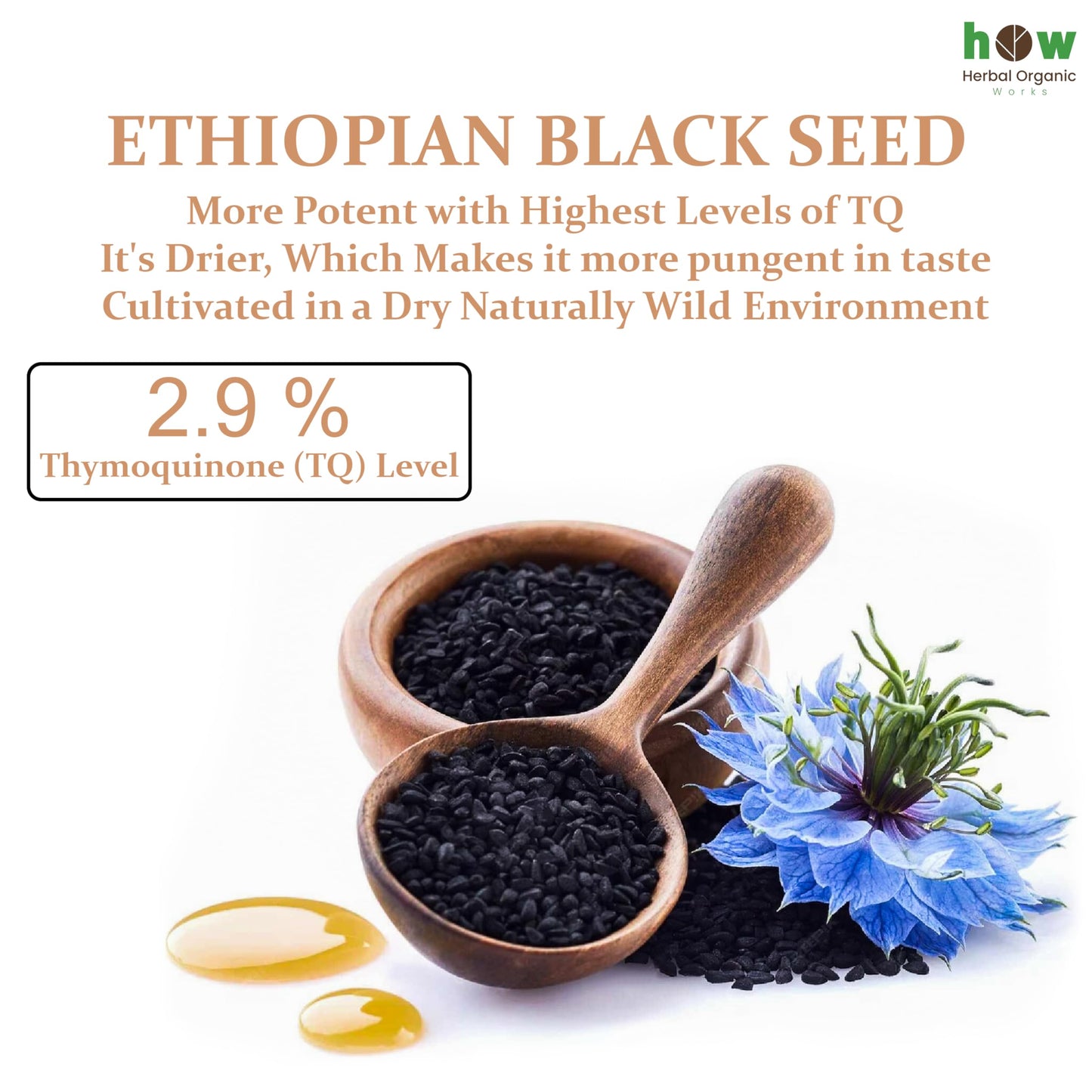 Black Seed Oil 8 oz โ Cold Pressed Ethiopian Nigella Sativa (3X Thymoquinone) in Glass