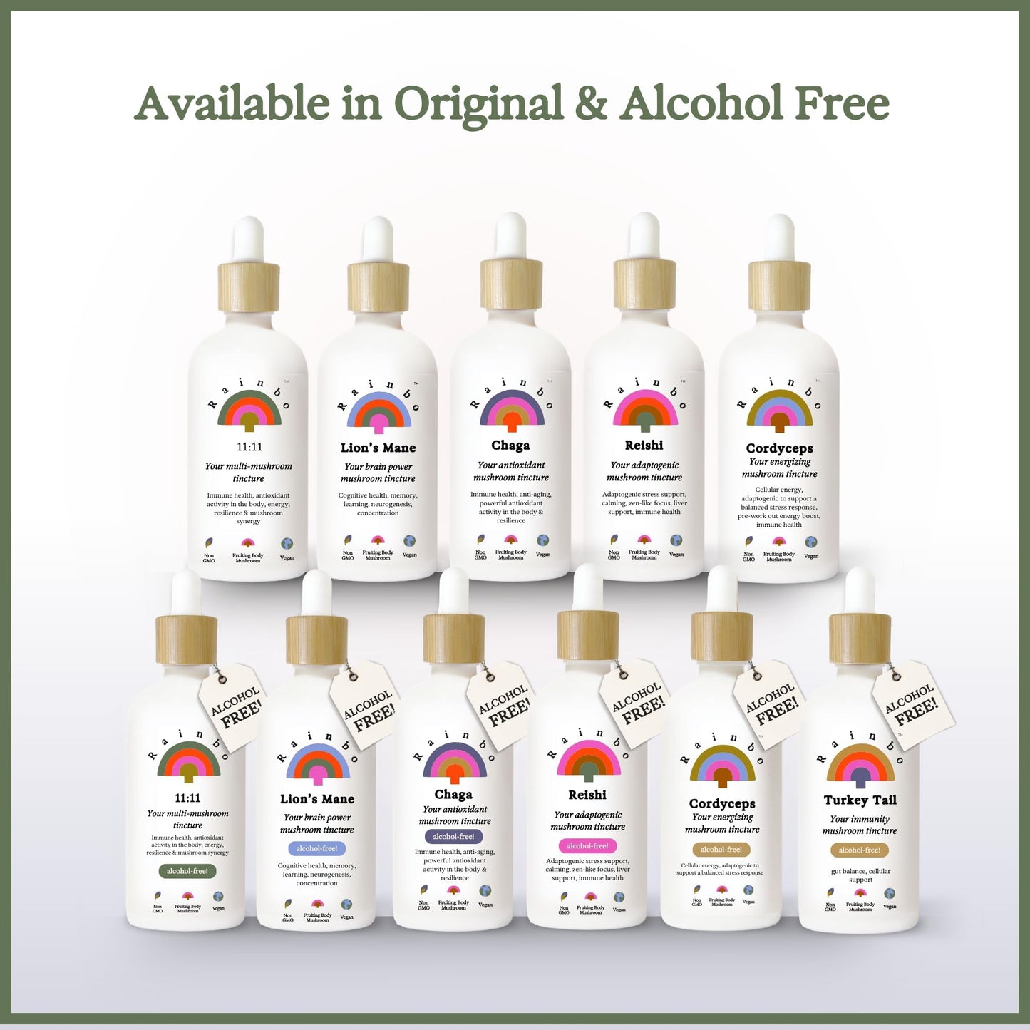 Rainbo 11:11 Multi Mushroom Tincture – 11-Mushroom Dual Extract for Immune & Brain Support, 3.4 fl oz, Vegan