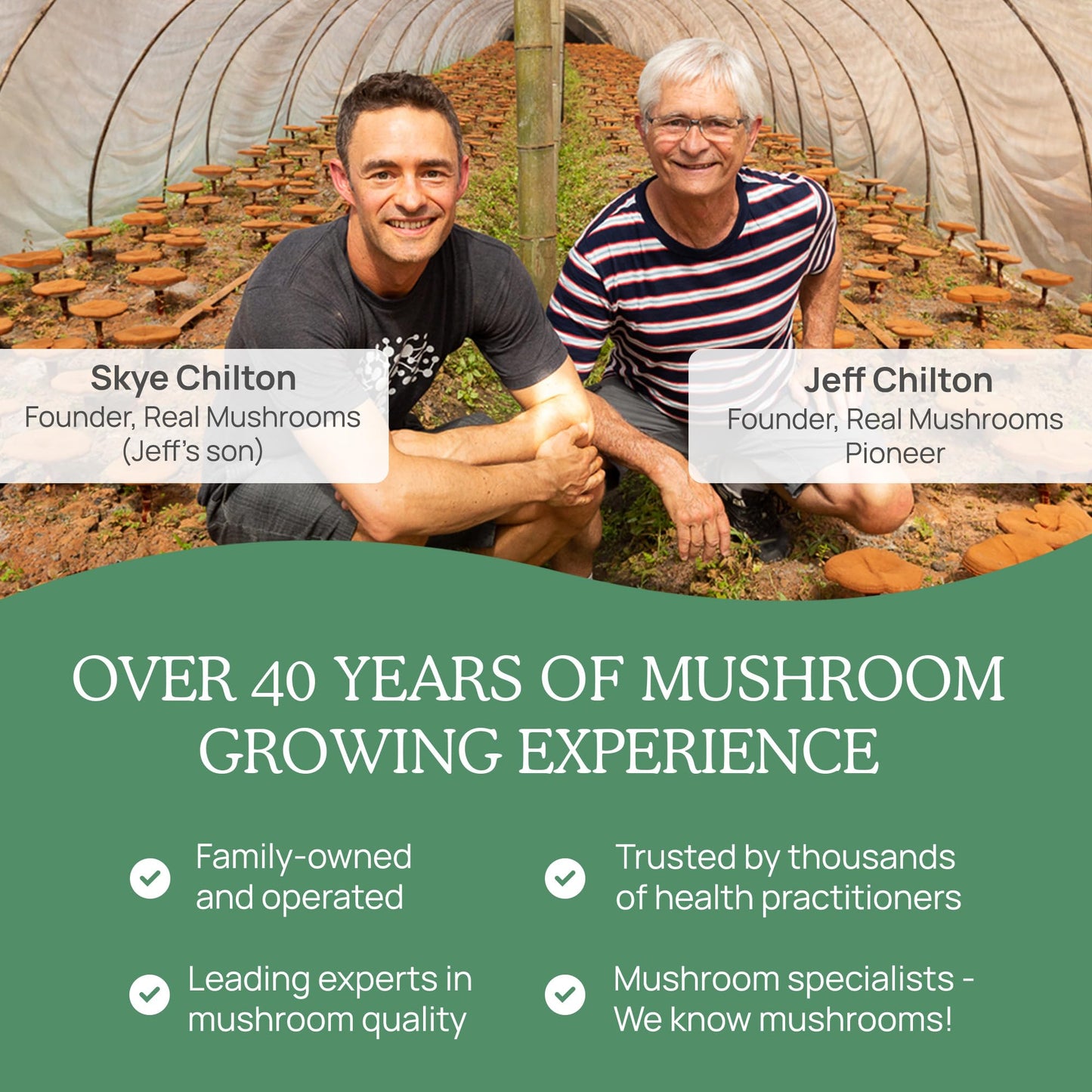 Real Mushrooms 5 Defenders Mushroom Complex Powder – Organic 5-Mushroom Blend, 100 Servings