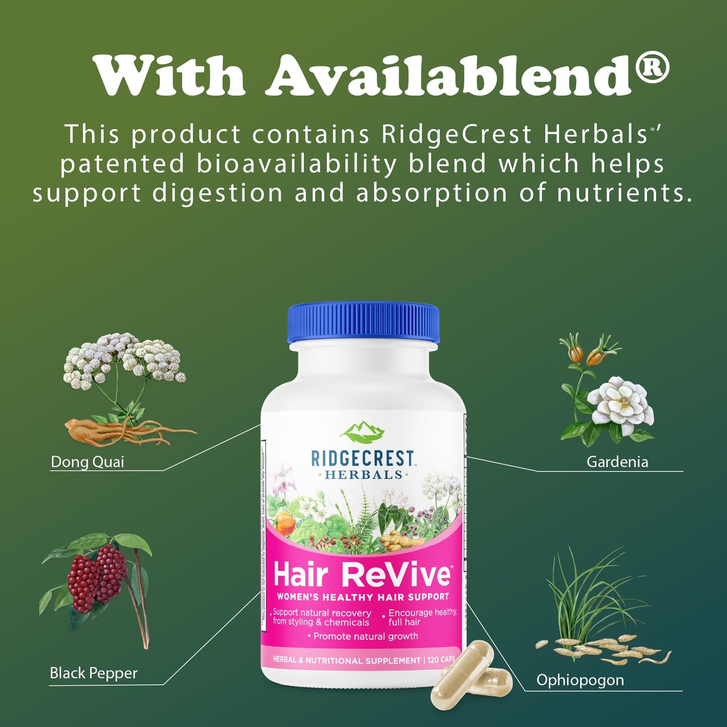 RidgeCrest Hair ReVive: Nutritional Hair Vitamins with Biotin 6000mcg