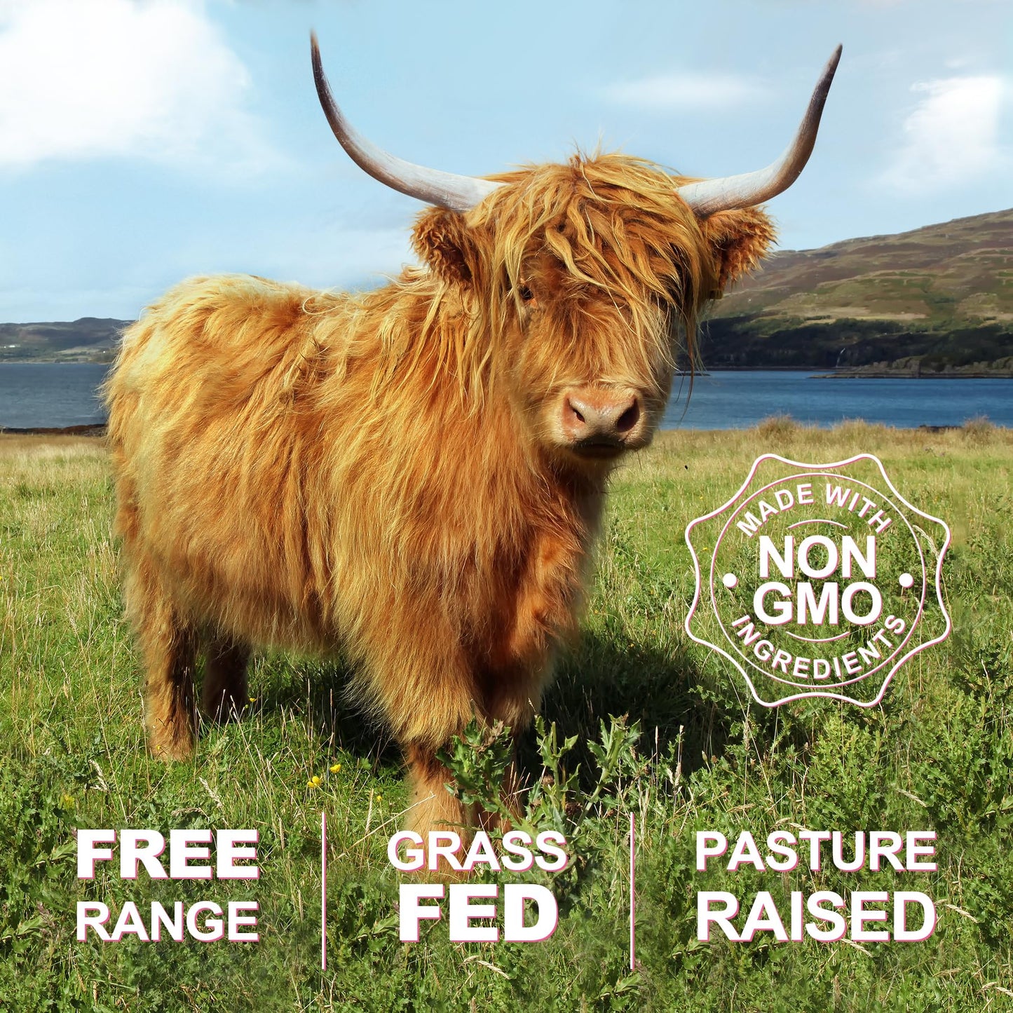 SKLIA Beef Organ Supplement for Women — Grass-Fed NZ Liver, Kidney, Heart, Uterus & Ovary for Energy & Wellness