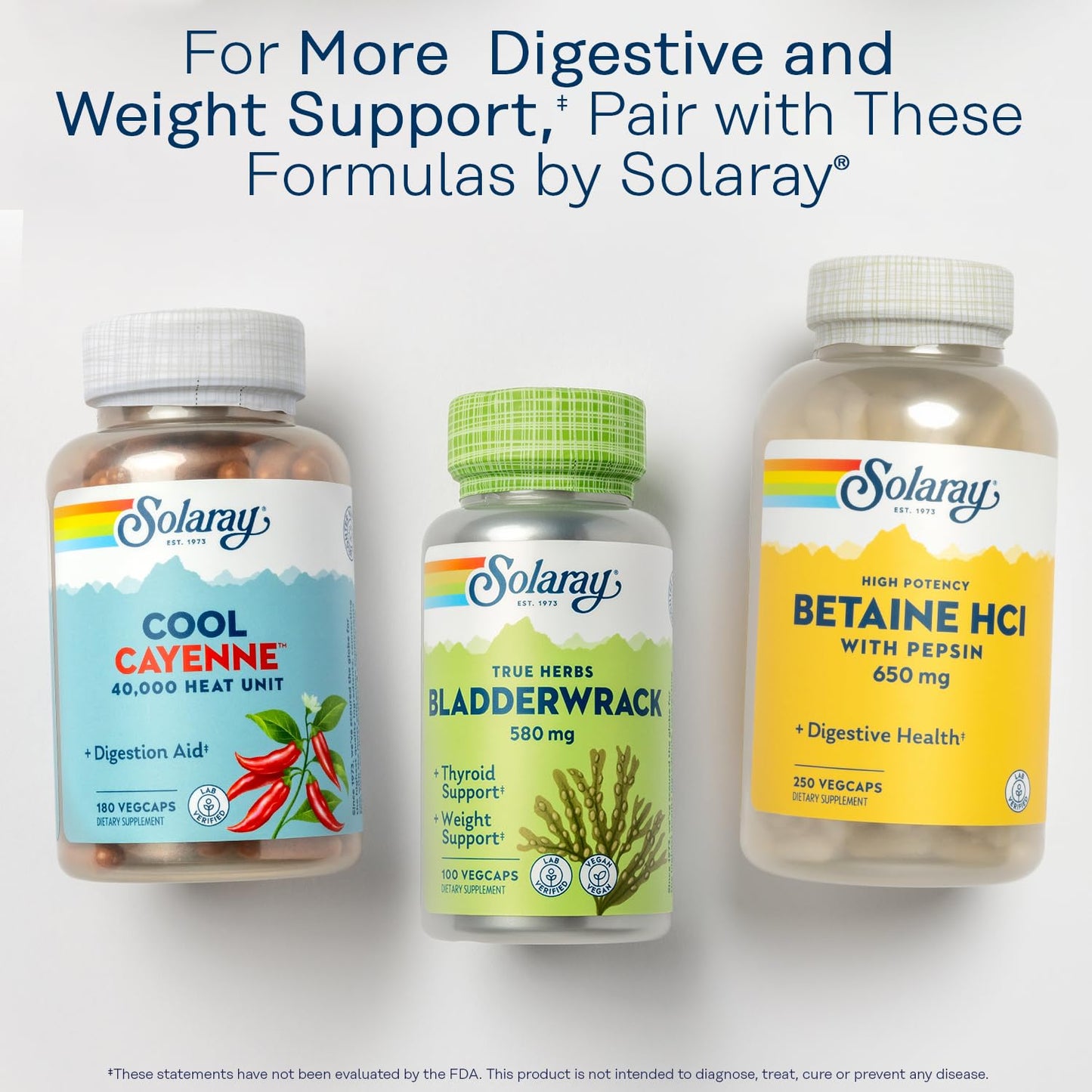 SOLARAY Lipotropic 1000 Plus – Betaine HCl & B-6 for Digestion, Energy & Fat Metabolism | 180 Capsules