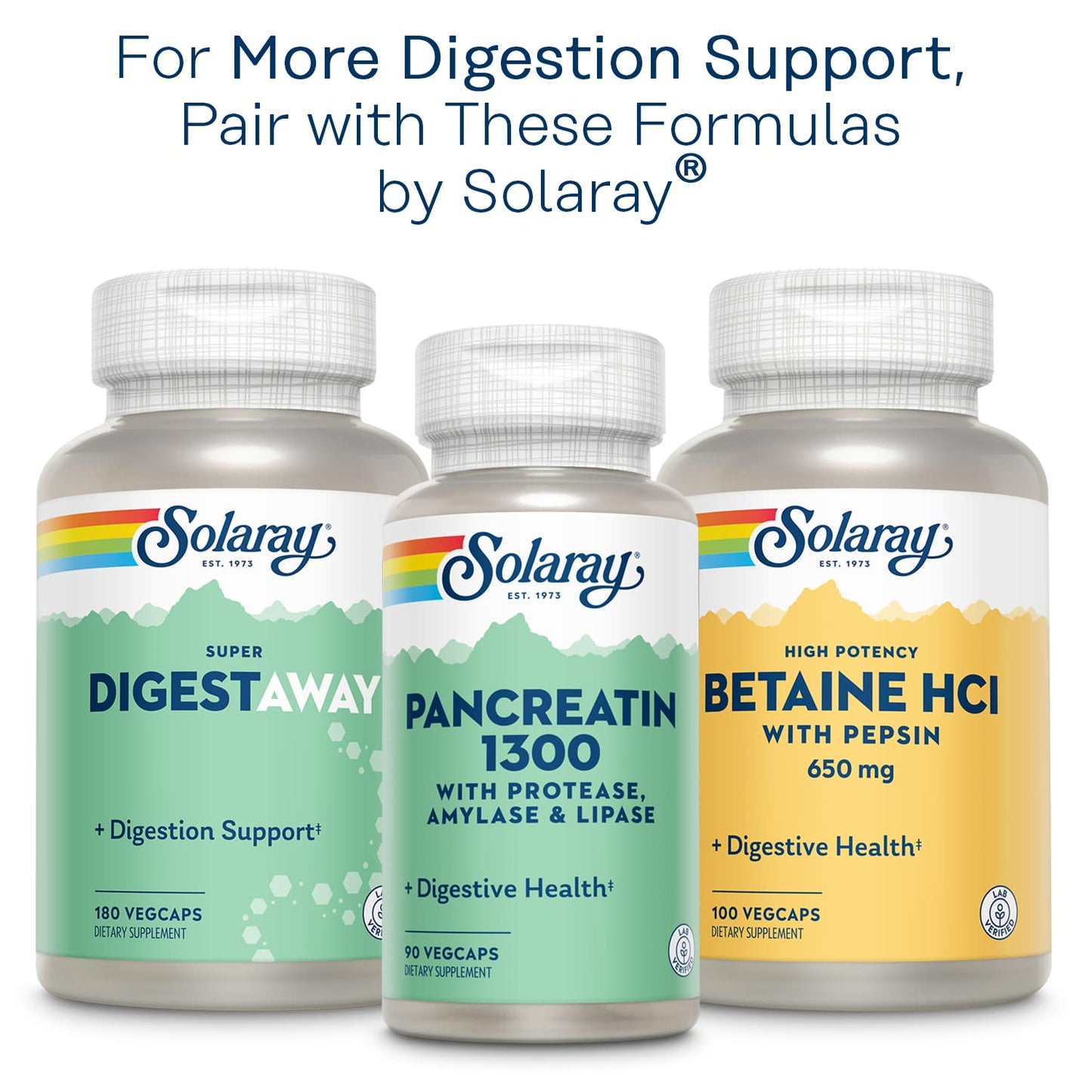 Solaray Mastic Gum Extract 500 mg - 45 Count | Digestive Health