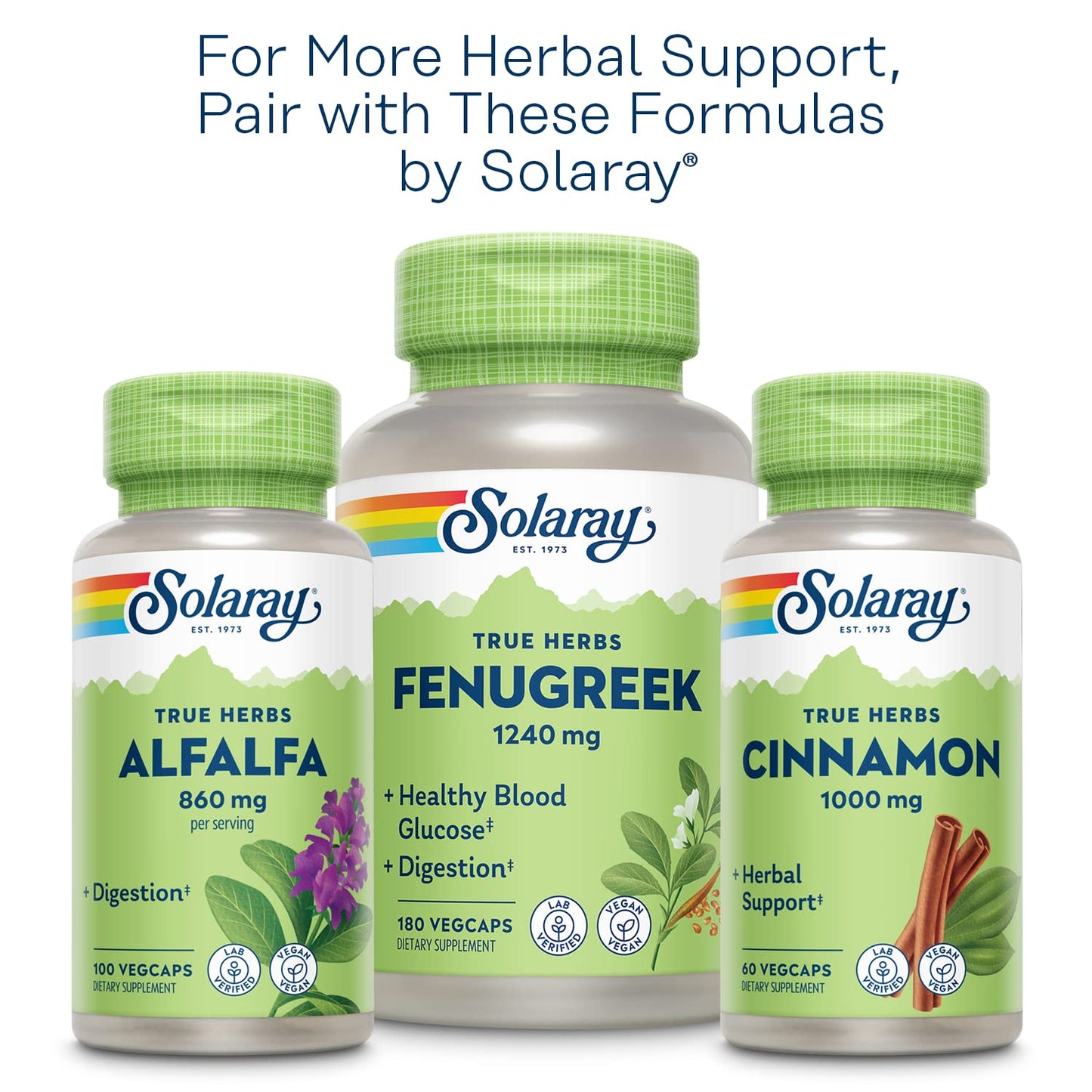 Solaray Nopal Prickly Pear Cactus 500 mg | Vegan Capsule with Fiber & Antioxidants | 100 Servings