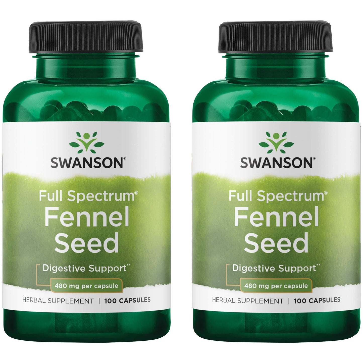 Swanson Fennel 480 mg - 100 Capsules (2 Pack) | Digestive & Hormonal Support