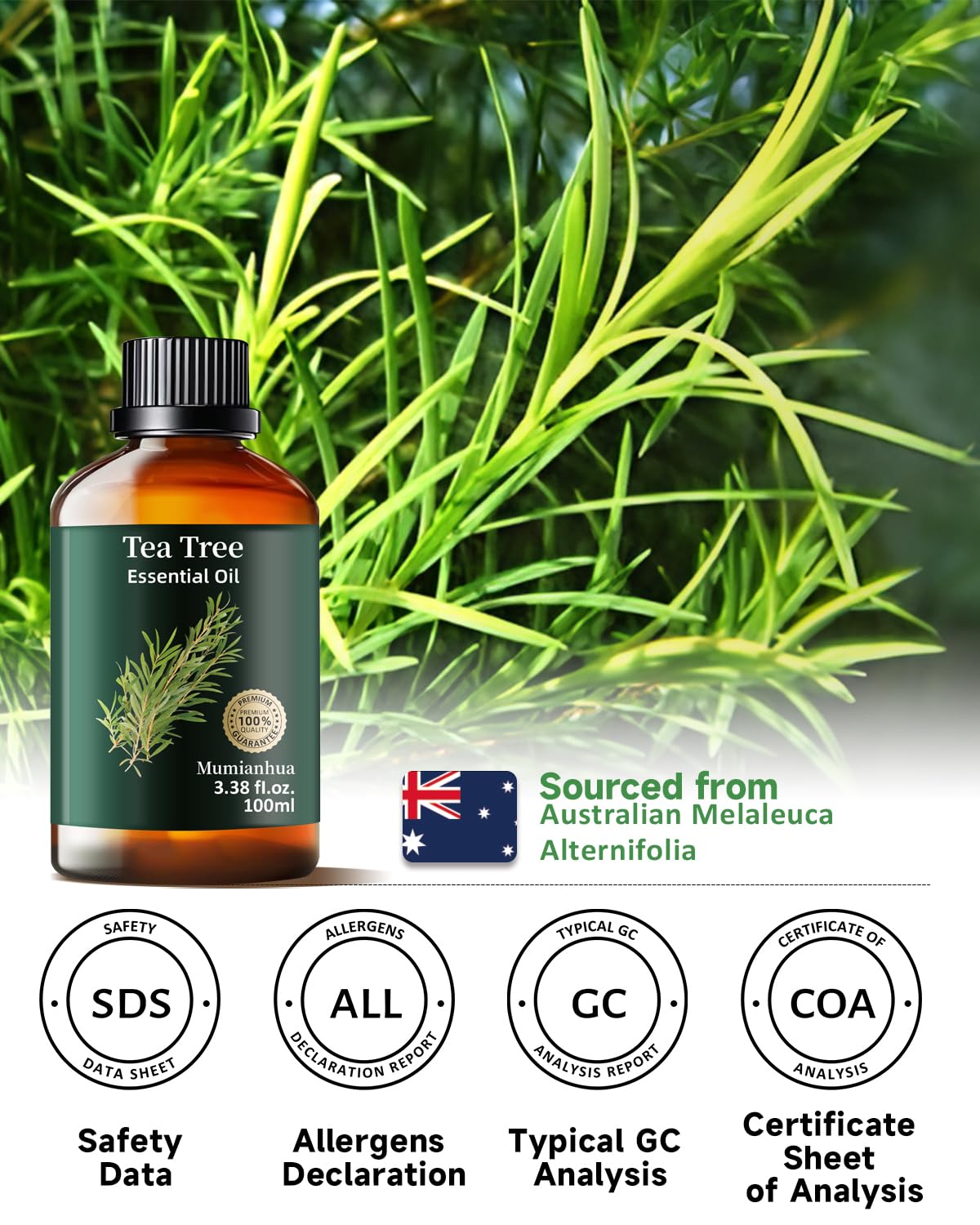 Tea Tree Essential Oil Pure Mumianhua – Natural Tea Tree Oil for Diffuser, Skin, Hair & DIY 3.38 Fl Oz