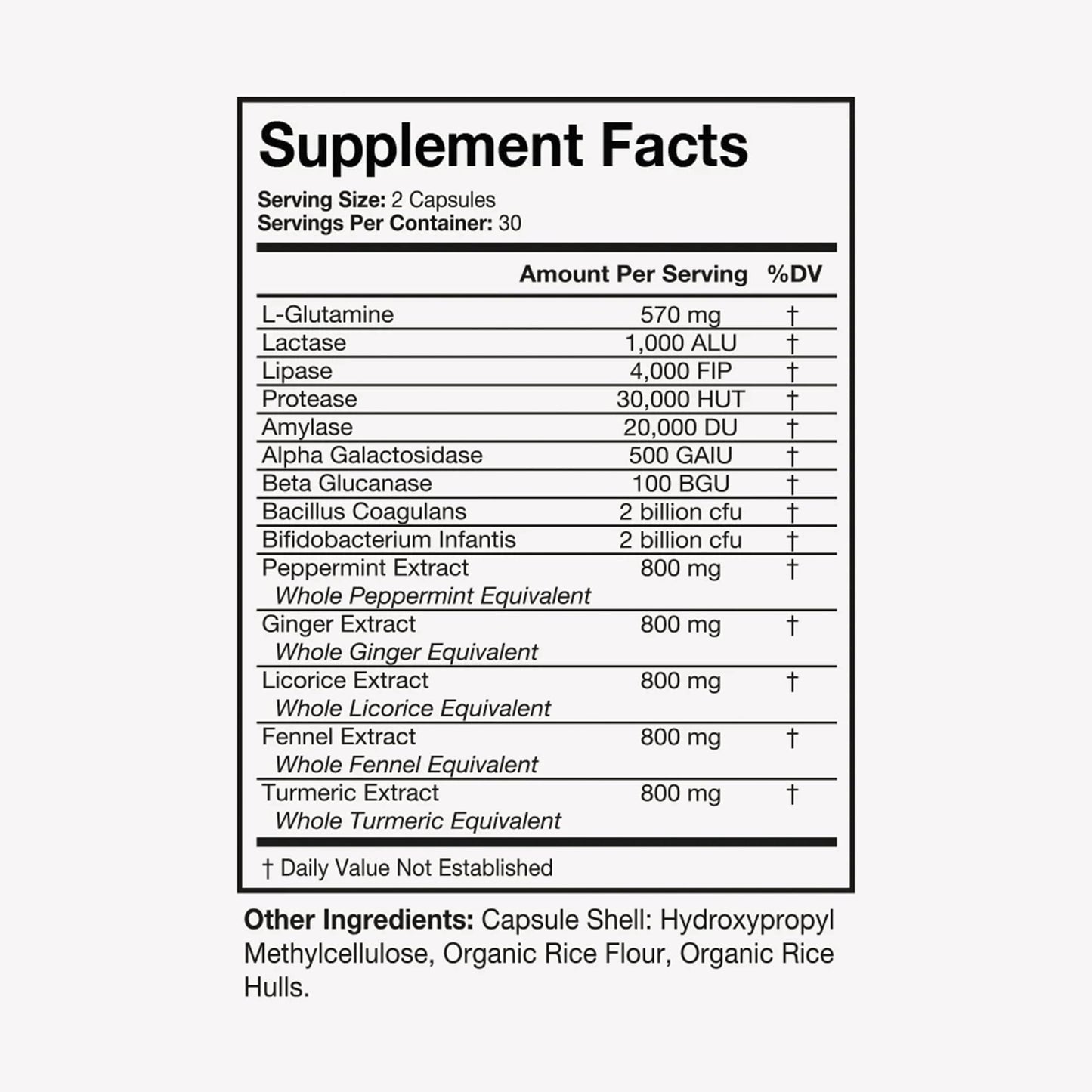 Terra Health Essentials Bloat Control | Fast-Acting No Bloat Relief with Digestive Enzymes & Probiotics