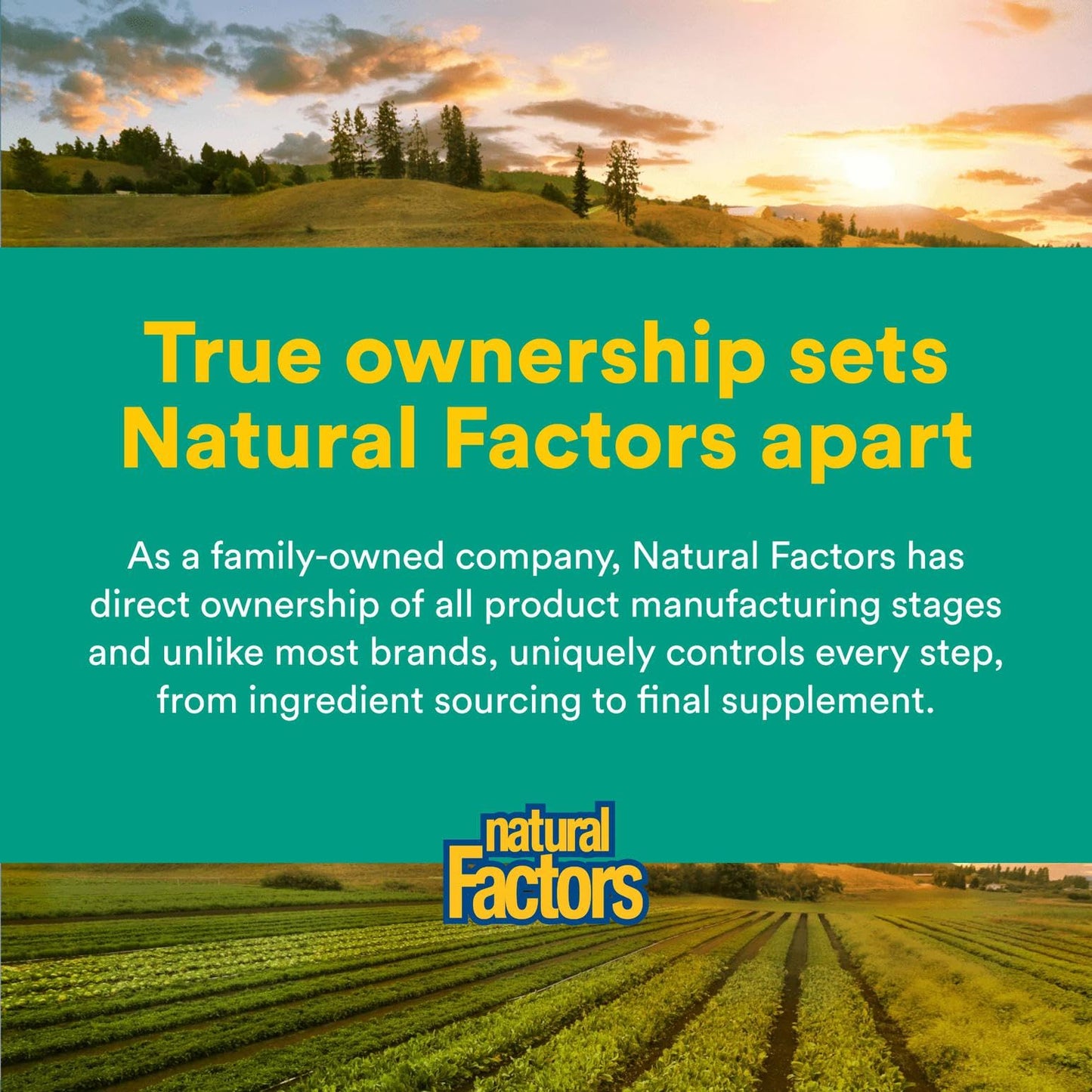 Natural Factors Alpha-Lipoic Acid 100 mg, 120 Capsules | Antioxidant Support