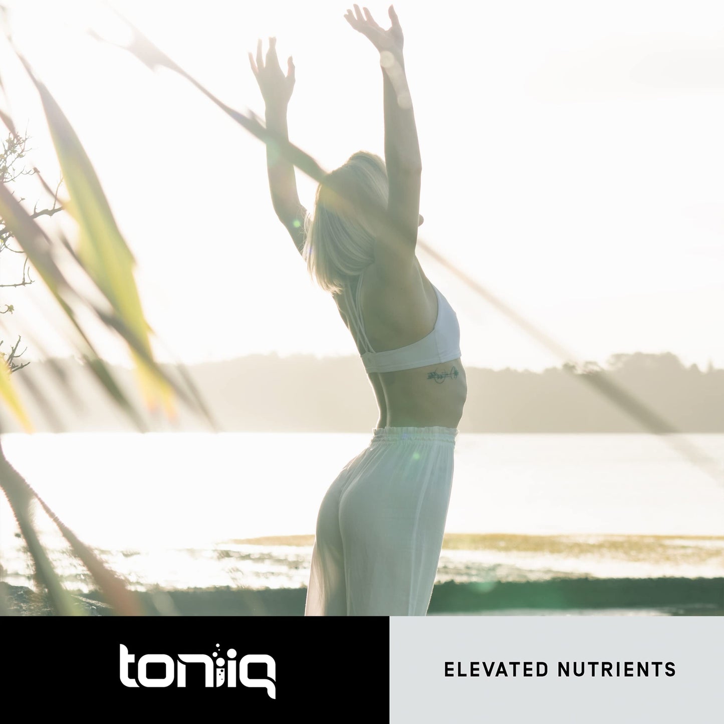 Toniiq Ultra High Purity Fisetin 500mg | 98%+ Purified, MCT-Enhanced Absorption | 60 Capsules