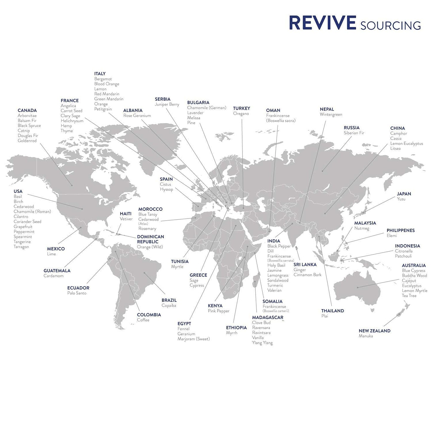 Vanilla by Revive Essential Oils | 100% Pure Therapeutic Grade