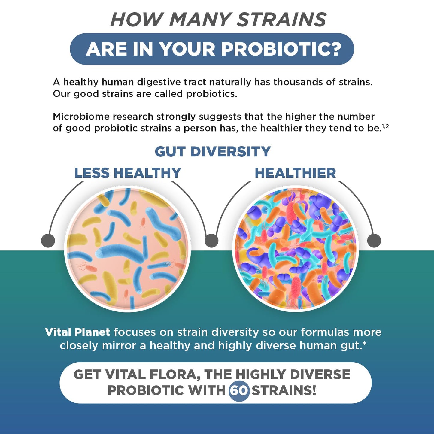 Vital Flora Men 55+ Daily Probiotic - 60B CFU, 60 Strains | Vital Planet