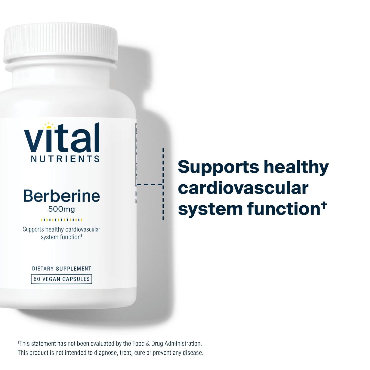 Vital Nutrients Berberine 500 mg Vegan Capsule — Supports Gut Function & Normal Triglyceride Levels | Gluten, Dairy & Soy Free | 60 Capsules