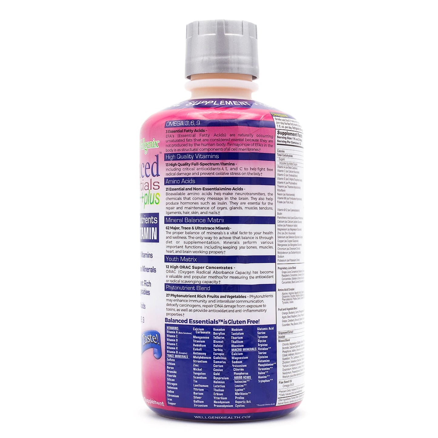 Wellgenix Balanced Essentials 2 Pack – Very Berry Liquid Vitamin 32 oz for Immune Support