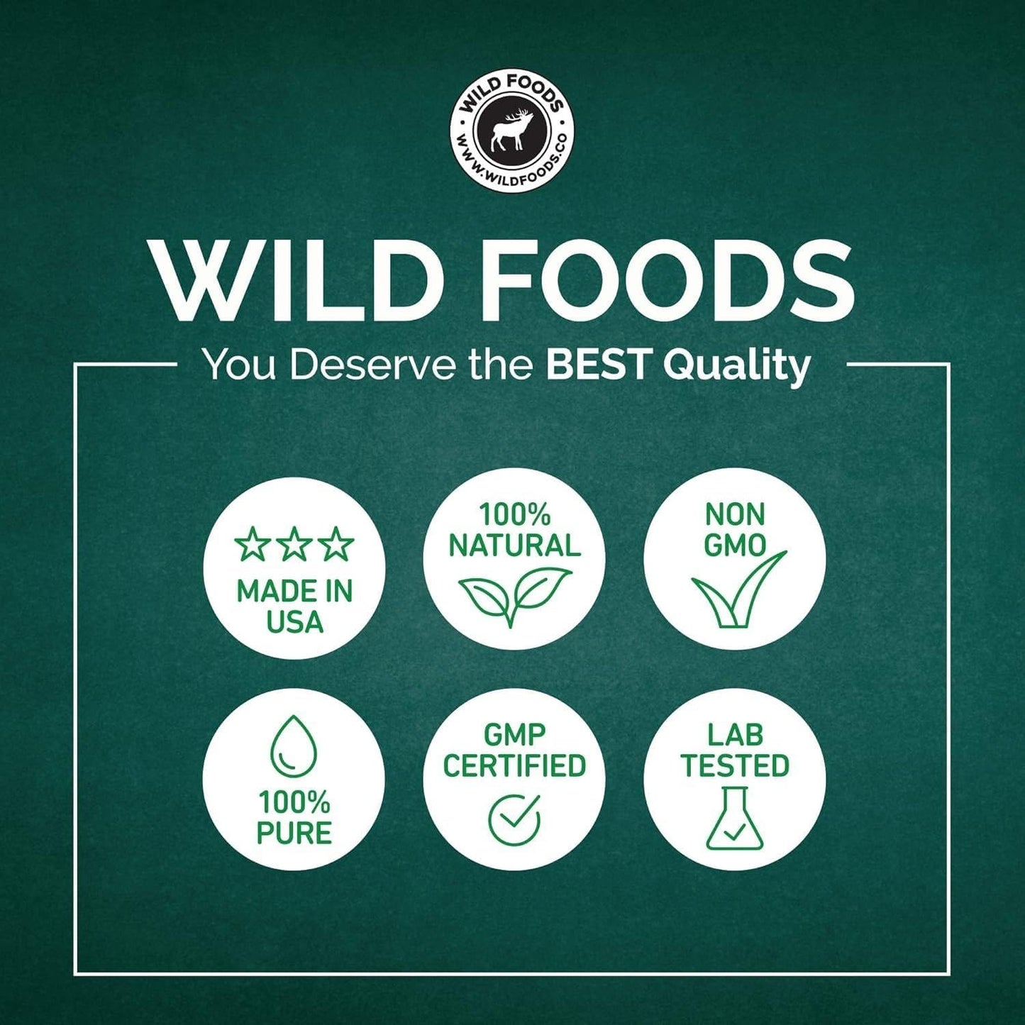 Wild Foods Lions Mane Powder 10:1 Organic Mushroom Extract – 4 oz Pack of 2 | Brain Health & Focus