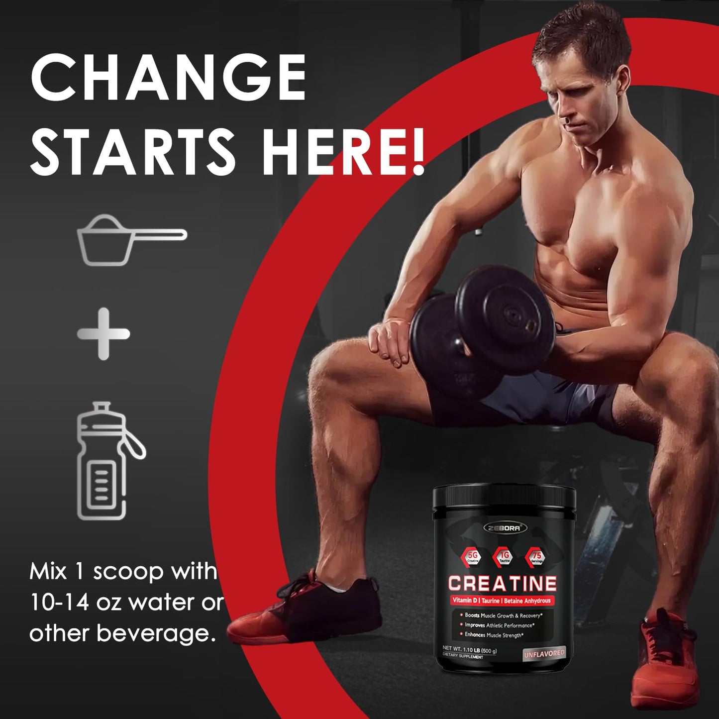ZEBORA Micronized Creatine Monohydrate Powder – 5G Creatine, 75 Servings
