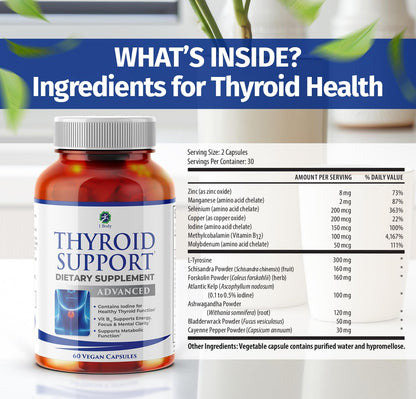 1 Body Thyroid Support Supplement – 90-Day, 3 Pack (Non-GMO Vegetarian)