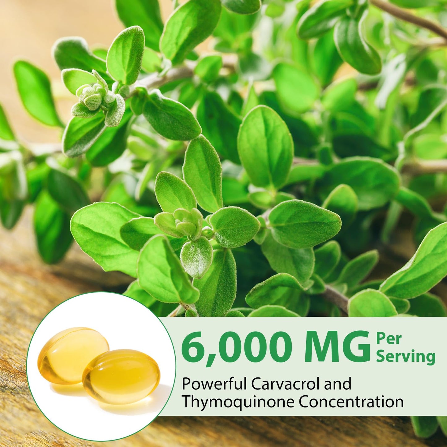 Oil of Oregano Softgel with Black Seed Oil – Immune Support