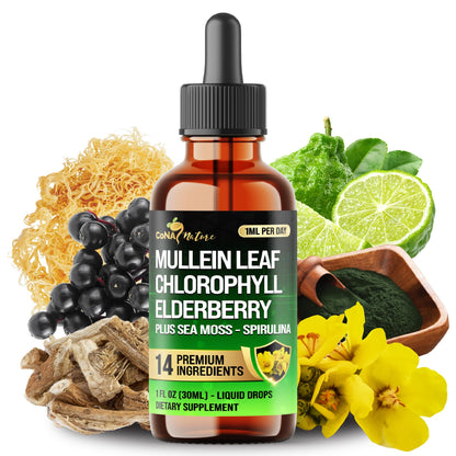 14in1 Mullein Liquid Drops – Immune & Respiratory Support, 30-Day, 1 fl oz