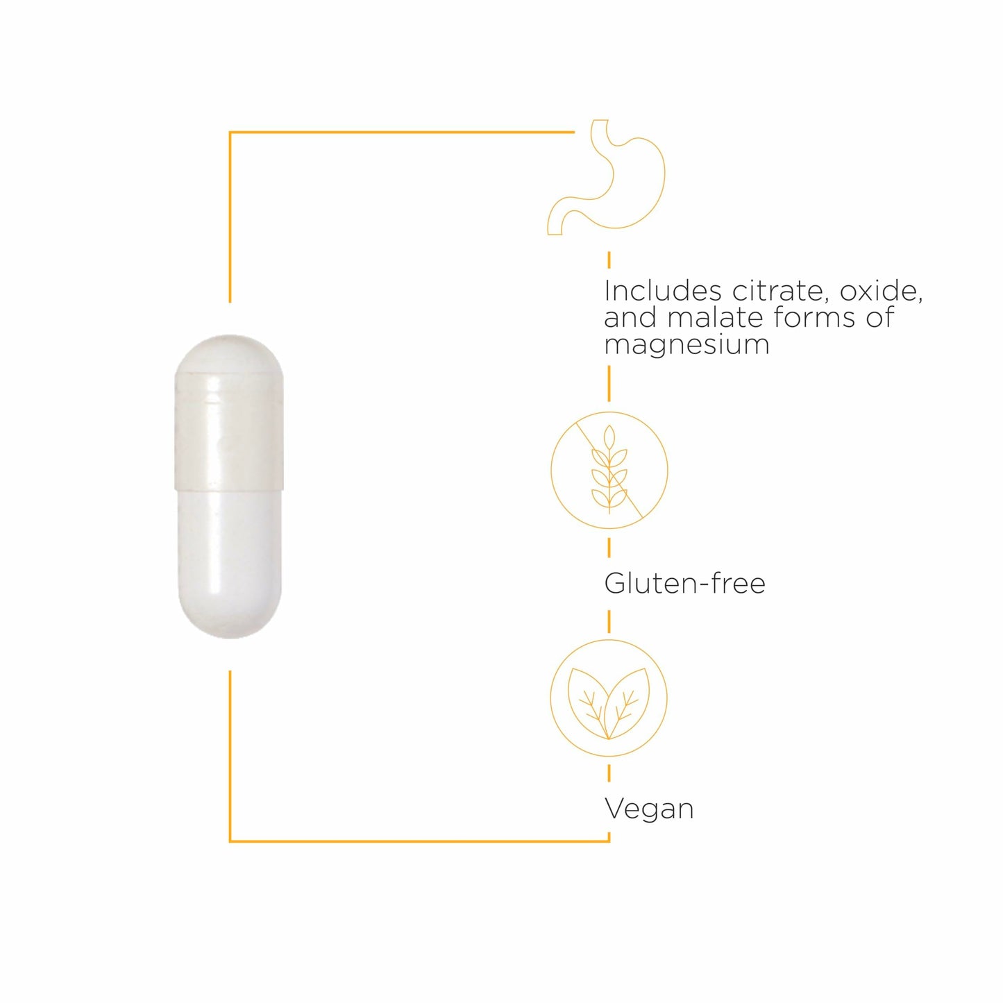Integrative Therapeutics Tri-Magnesium – Supports Cellular Energy & Metabolism – 180 Capsules