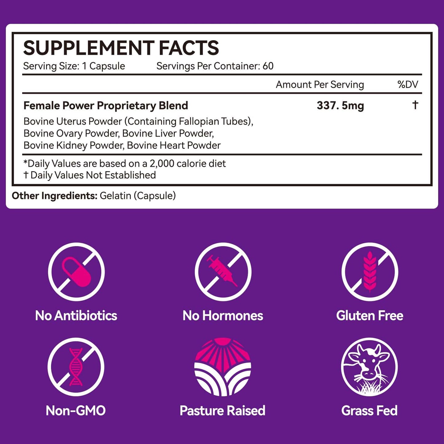 2 Pack Beef Organ Supplement for Women – Grass-Fed Liver & Organs Capsules for Hormone Balance, Energy & Skin Health