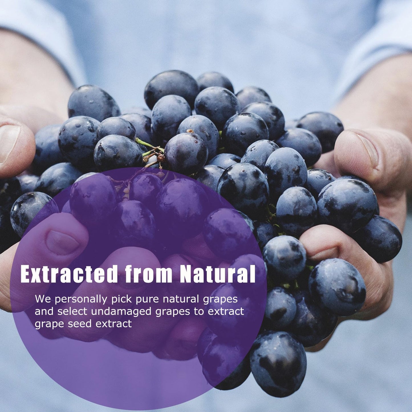 2025 Mineral Tooth Powder for Whitening, Strengthening & Gum Care - Purple