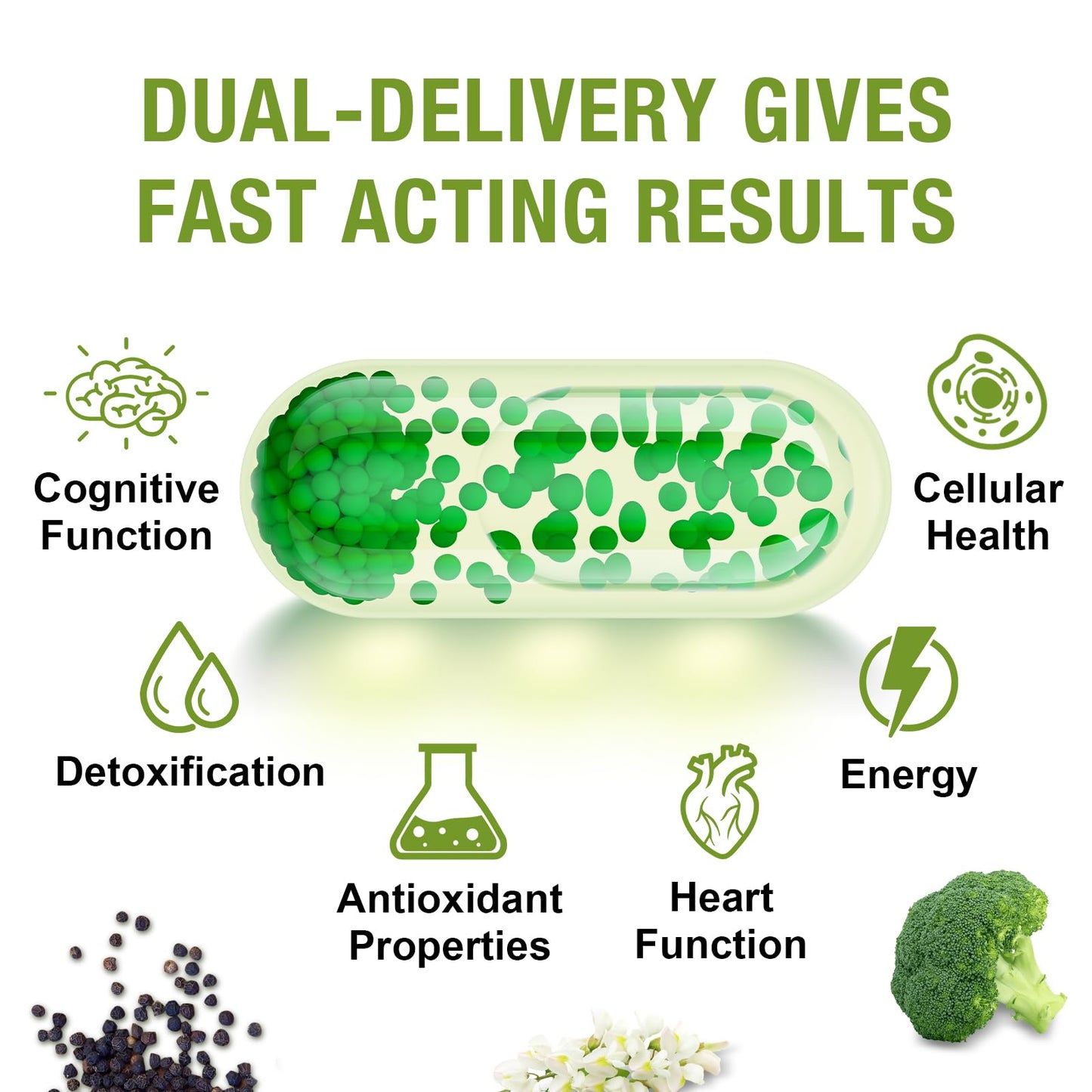 800 mg Liposomal Sulforaphane – Dual-Delivery, Full-Spectrum Broccoli Extract | 360 Softgels